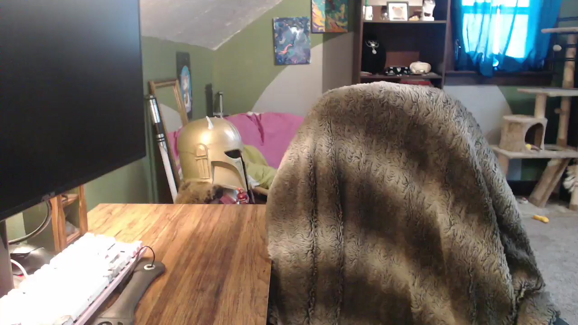 Gallery image thumbnail from AstraeaSiren's myfreecams stream on, 01/26/2026, 20:28 image 14 of 20