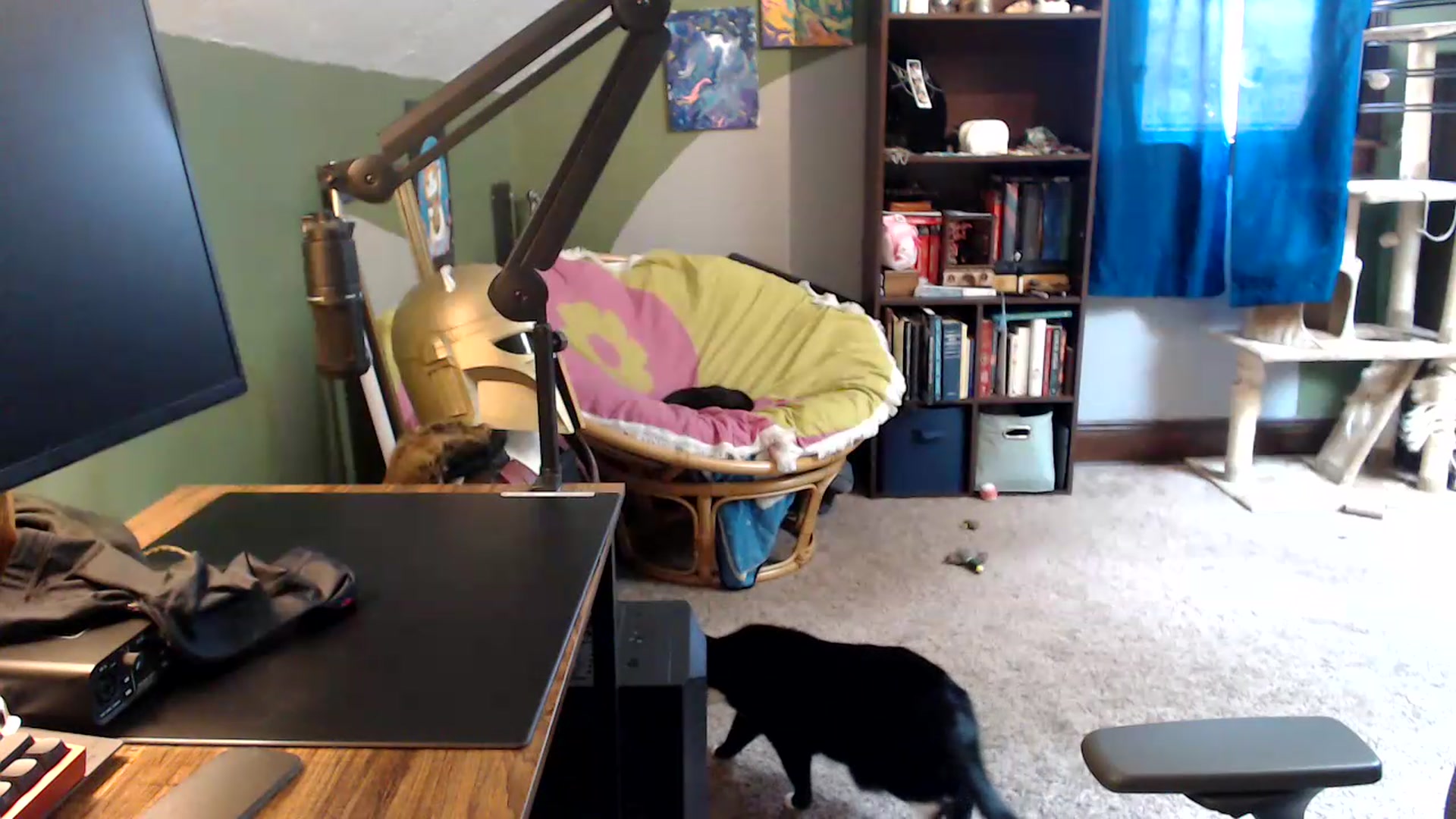 Gallery image thumbnail from AstraeaSiren's myfreecams stream on, 06/22/2026, 20:11 image 19 of 20