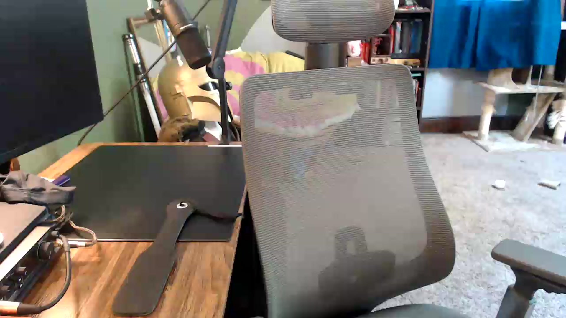 Gallery image thumbnail from AstraeaSiren's myfreecams stream on, 06/24/2026, 19:06 image 15 of 20