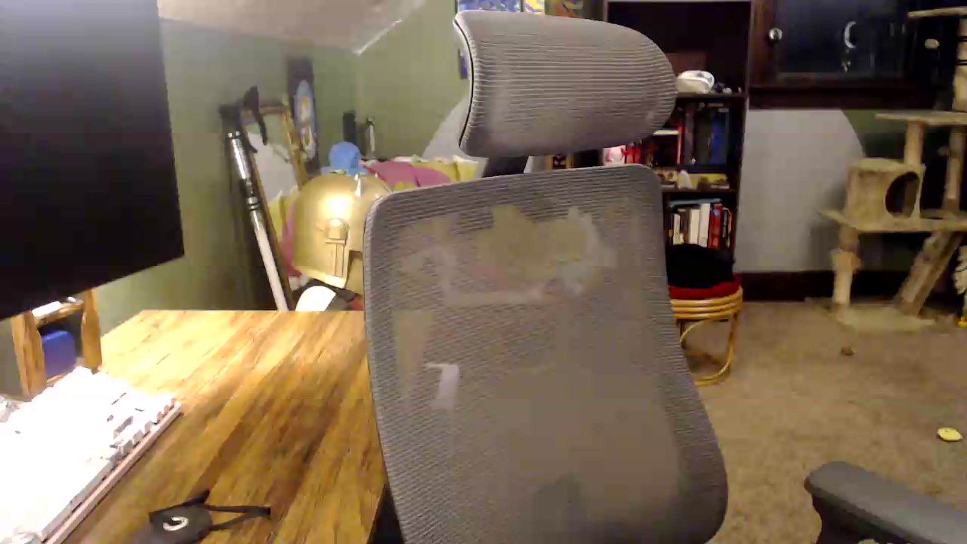 Gallery image thumbnail from AstraeaSiren's myfreecams stream on, 08/13/2026, 02:43 image 1 of 20