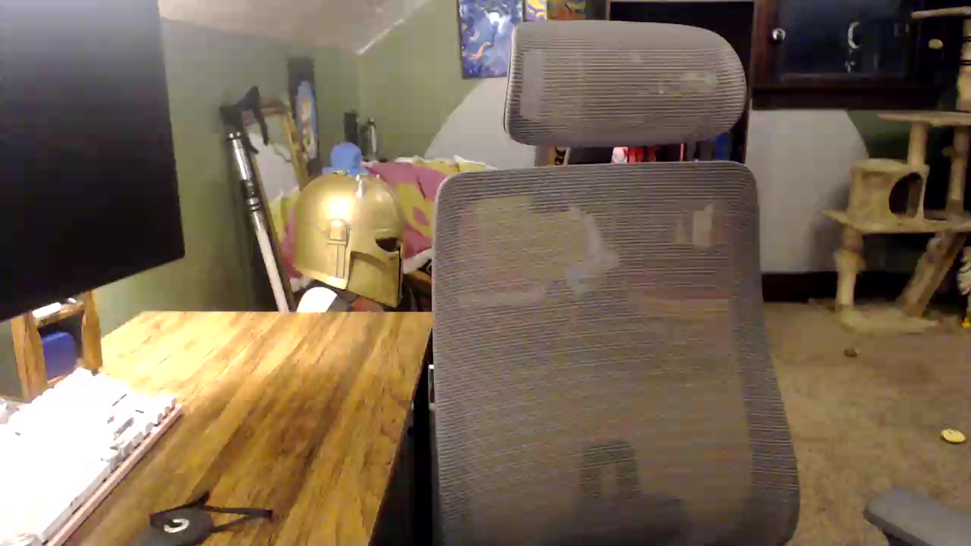 Gallery image thumbnail from AstraeaSiren's myfreecams stream on, 08/13/2026, 02:43 image 6 of 20