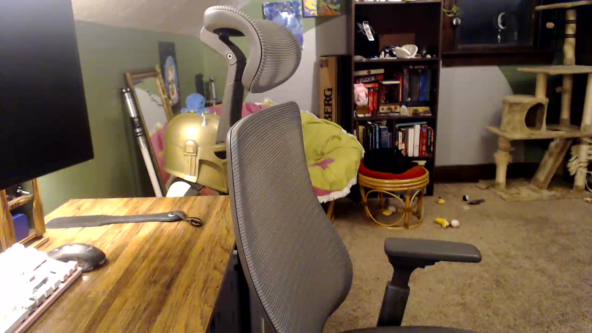 Gallery image thumbnail from AstraeaSiren's myfreecams stream on, 08/20/2026, 04:15 image 11 of 20