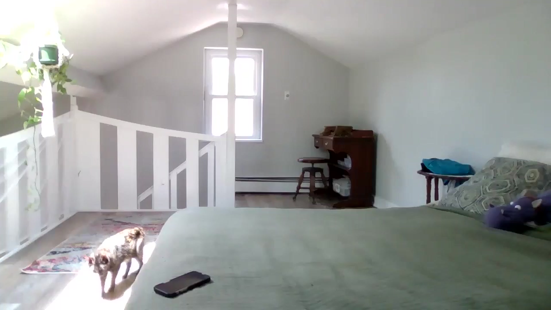 Gallery image thumbnail from AthenaSiren's myfreecams stream on, 06/26/2025, 17:02 image 8 of 20