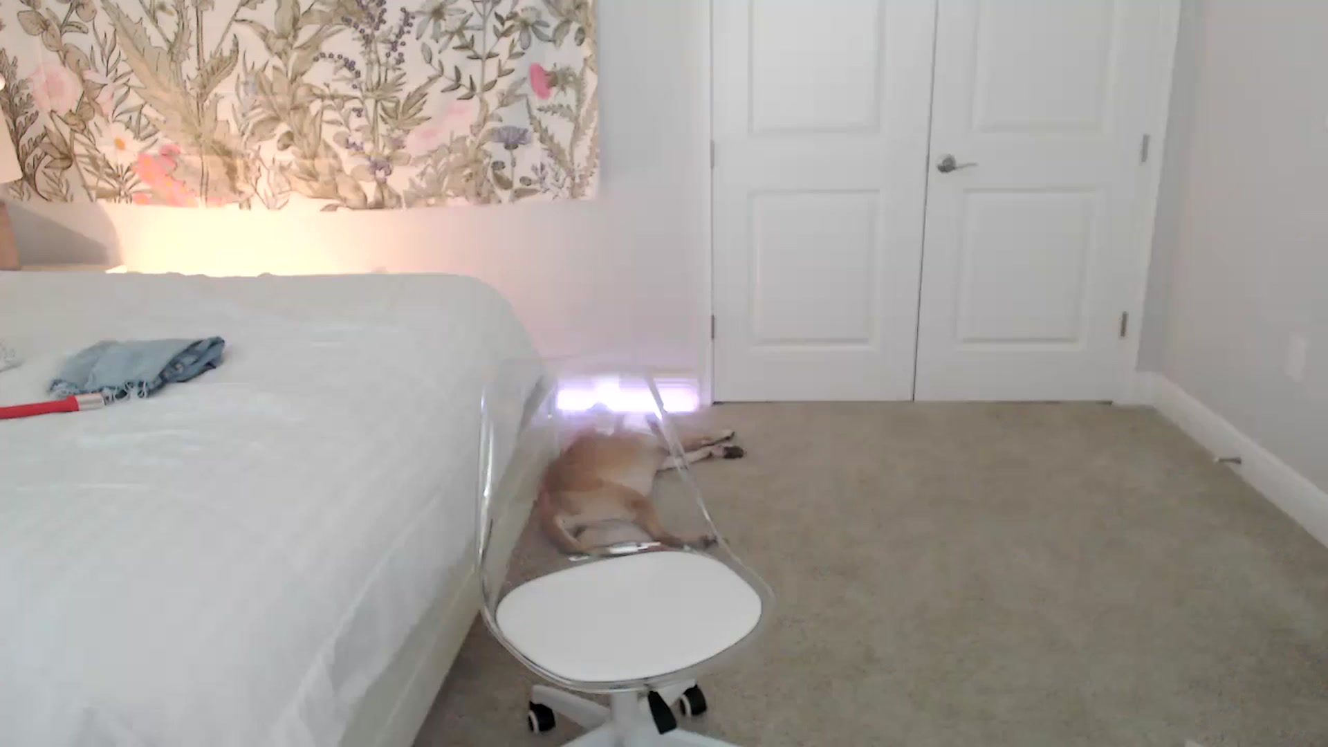 Gallery image thumbnail from AtomicMILF's myfreecams stream on, 09/08/2023, 16:57 image 17 of 20