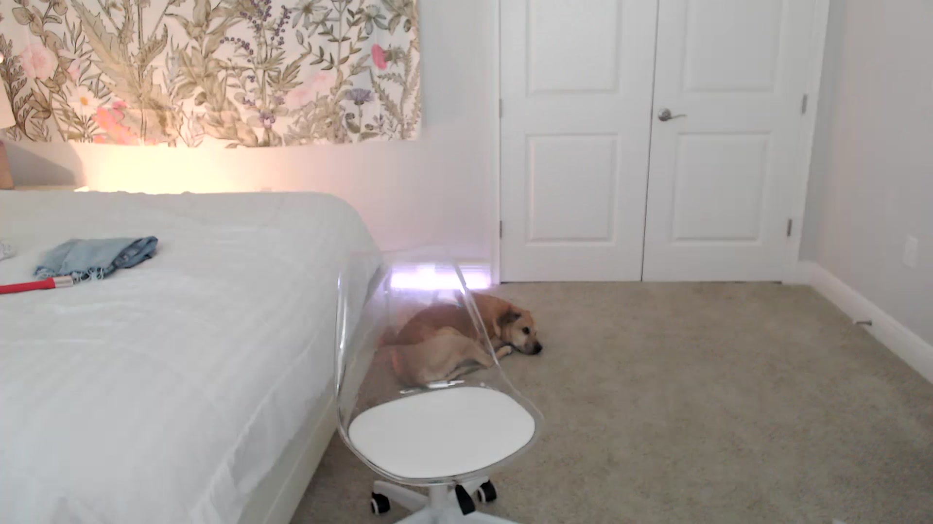 Gallery image thumbnail from AtomicMILF's myfreecams stream on, 09/08/2023, 16:57 image 18 of 20