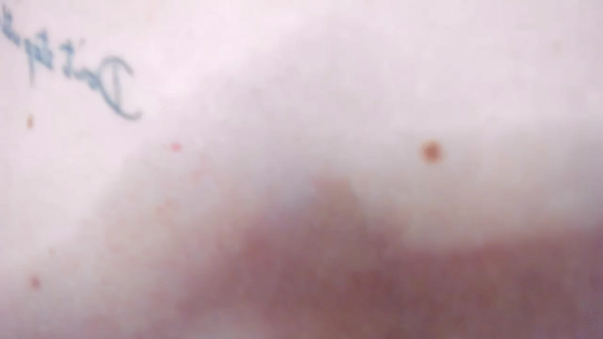 Gallery image thumbnail from AudreyRyen's myfreecams stream on, 02/20/2023, 17:32 image 17 of 20