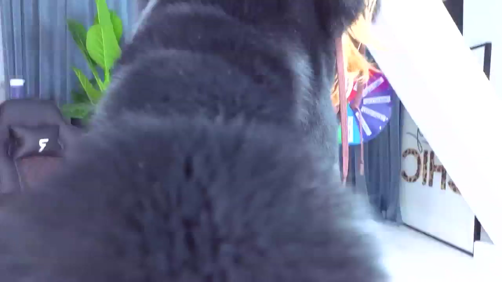 Gallery image thumbnail from AudreyRyen's myfreecams stream on, 10/03/2025, 15:31 image 19 of 20