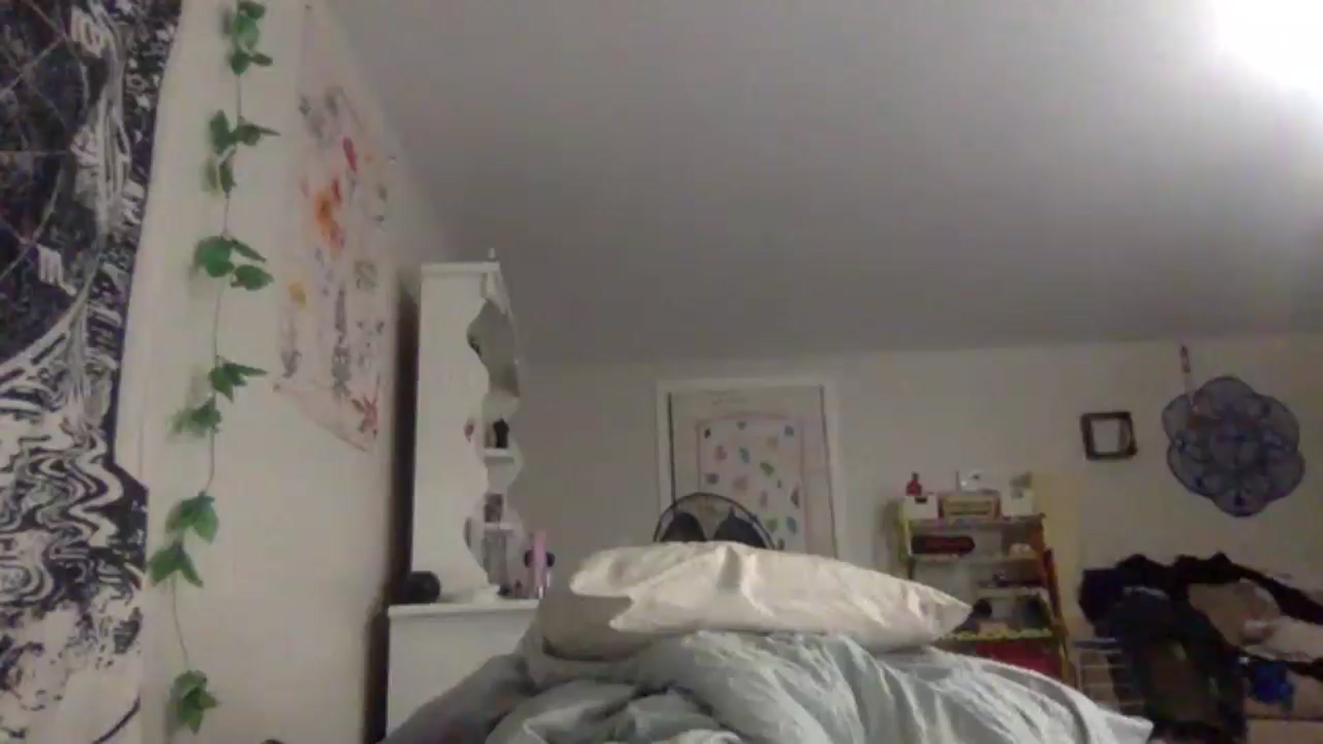 Gallery image thumbnail from Audreylane07's myfreecams stream on, 11/22/2025, 22:22 image 4 of 20