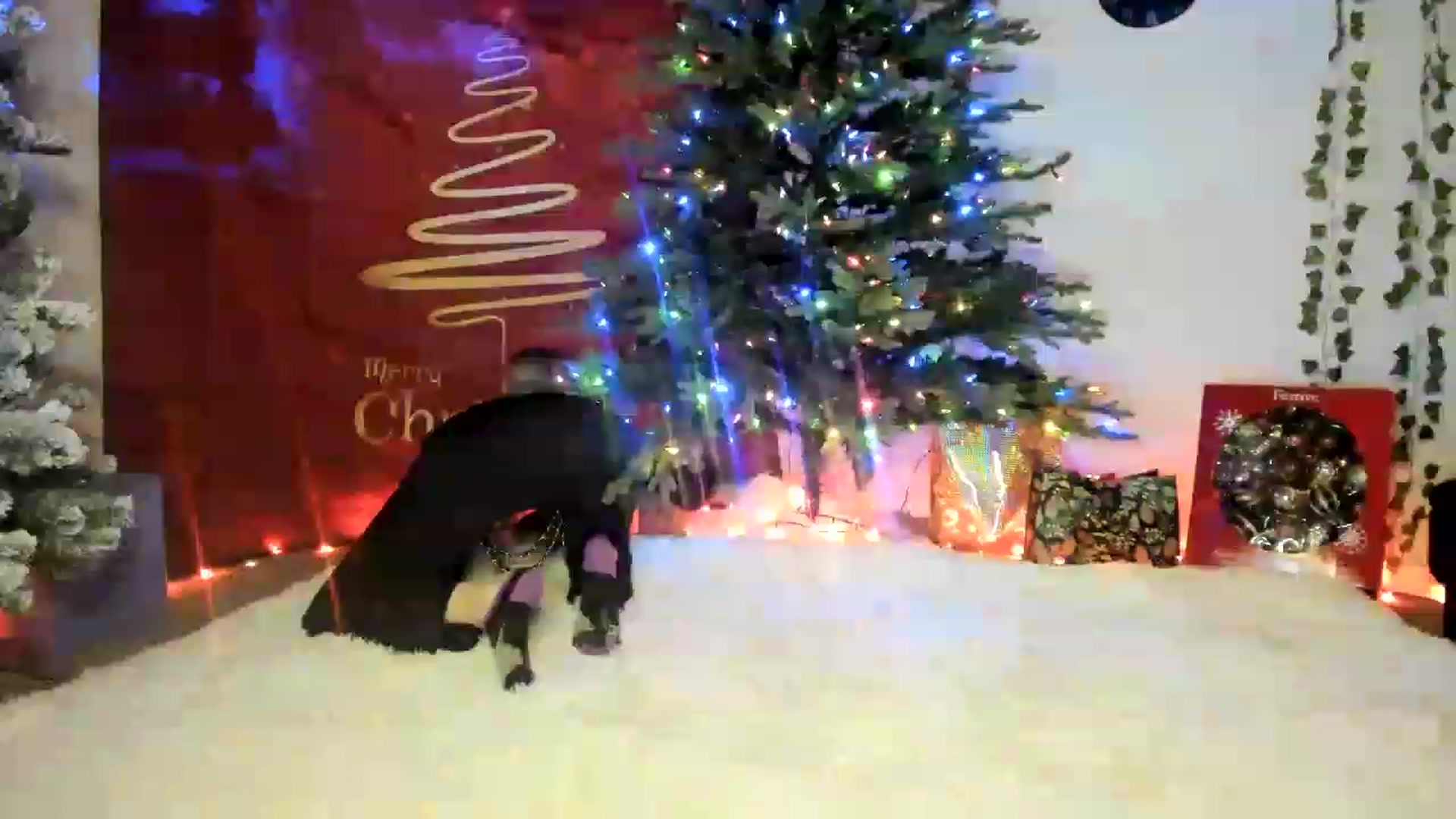 Gallery image thumbnail from AudryLikes's myfreecams stream on, 12/21/2022, 02:55 image 9 of 20
