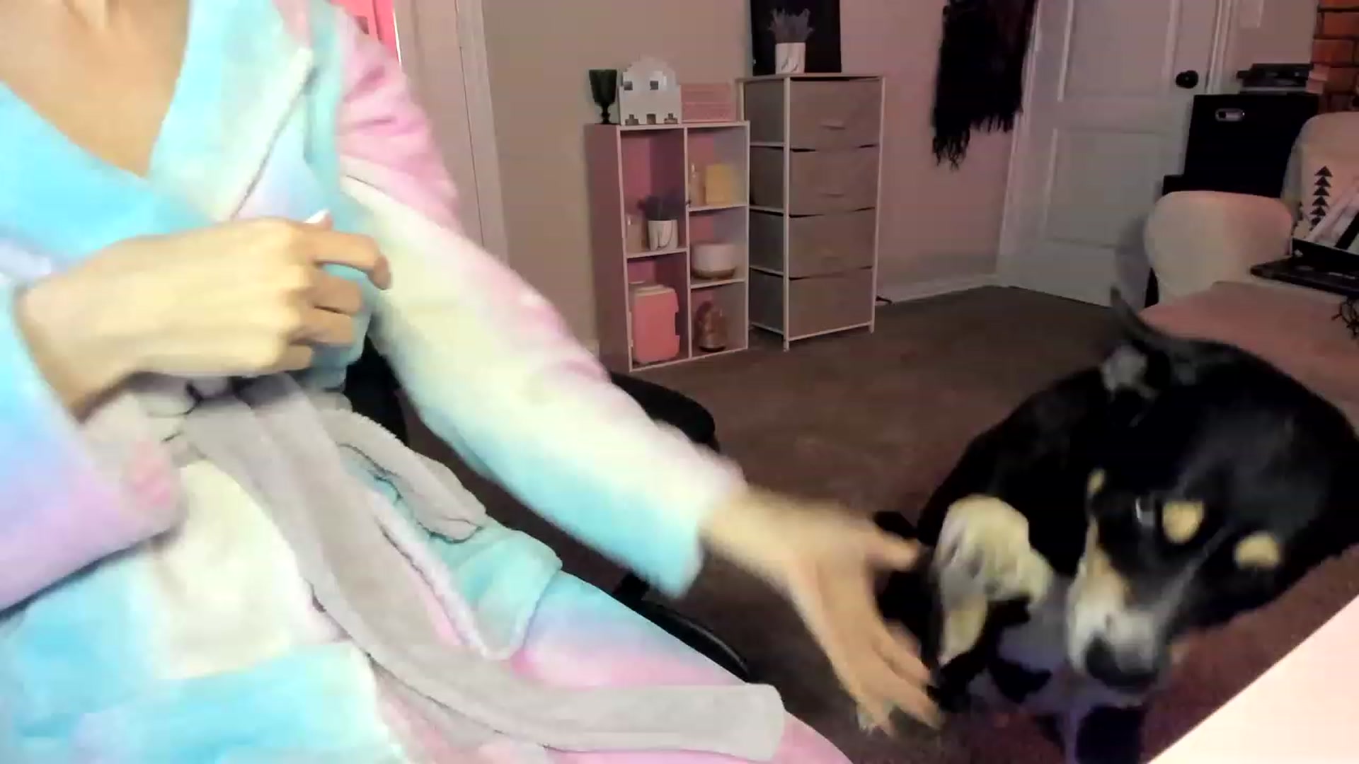 Gallery image thumbnail from AudryLikes's myfreecams stream on, 01/09/2023, 13:07 image 5 of 20