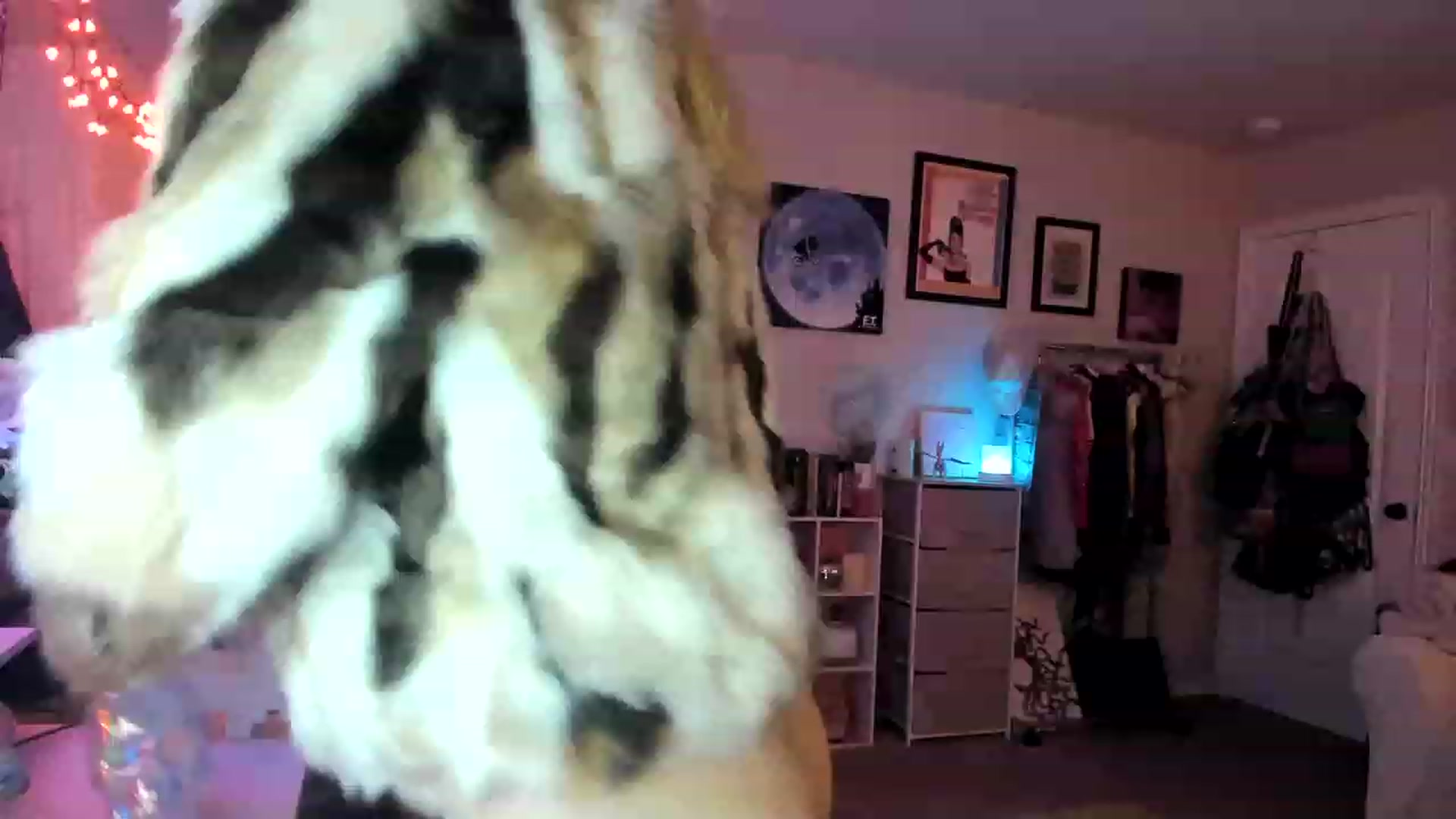 Gallery image thumbnail from AudryLikes's myfreecams stream on, 01/28/2023, 02:28 image 8 of 20