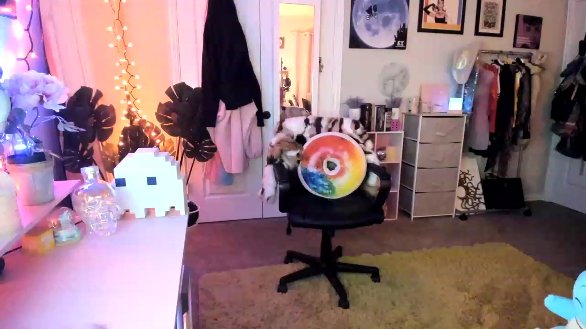 Gallery image thumbnail from AudryLikes's myfreecams stream on, 01/28/2023, 02:28 image 20 of 20