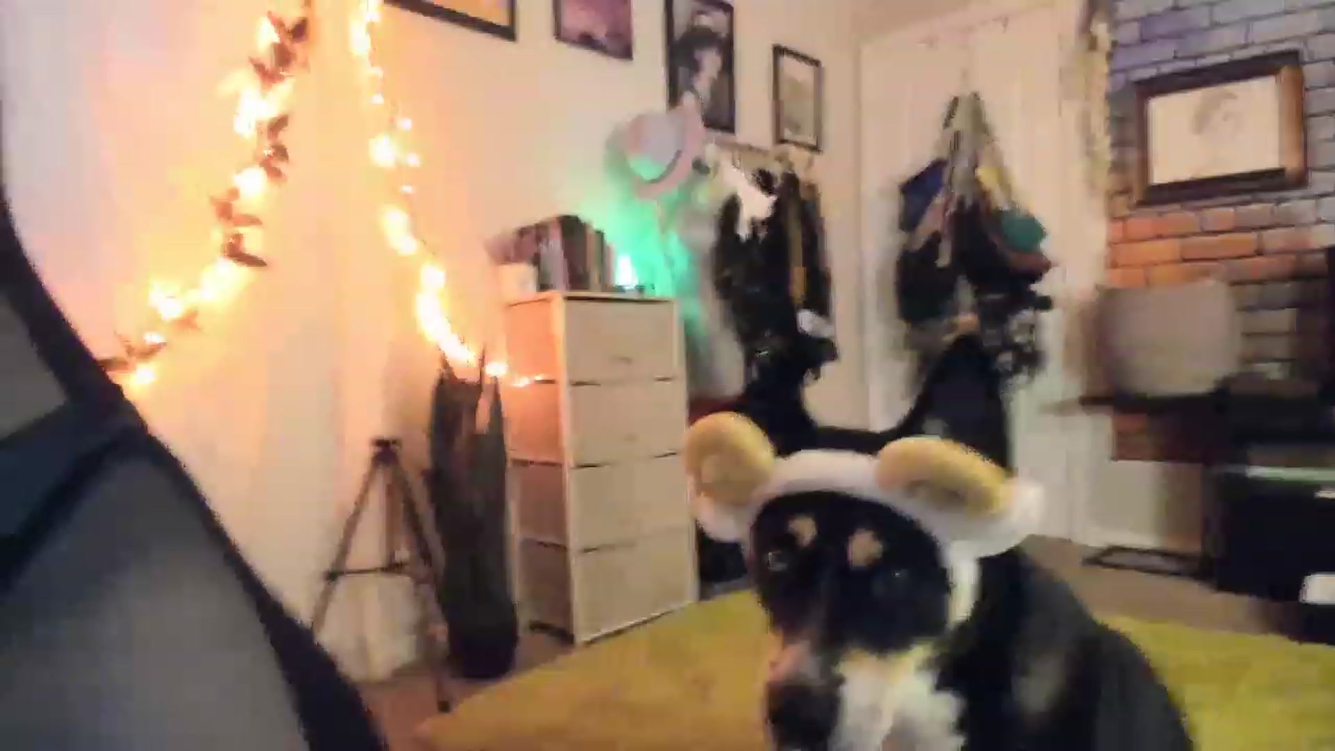 Gallery image thumbnail from AudryLikes's myfreecams stream on, 03/31/2023, 22:39 image 8 of 20