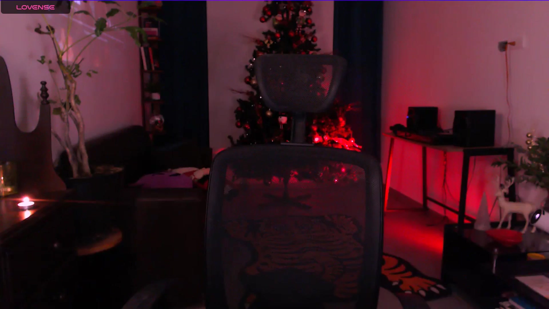 Gallery image thumbnail from AuroraBeckett's myfreecams stream on, 11/16/2025, 10:31 image 12 of 20