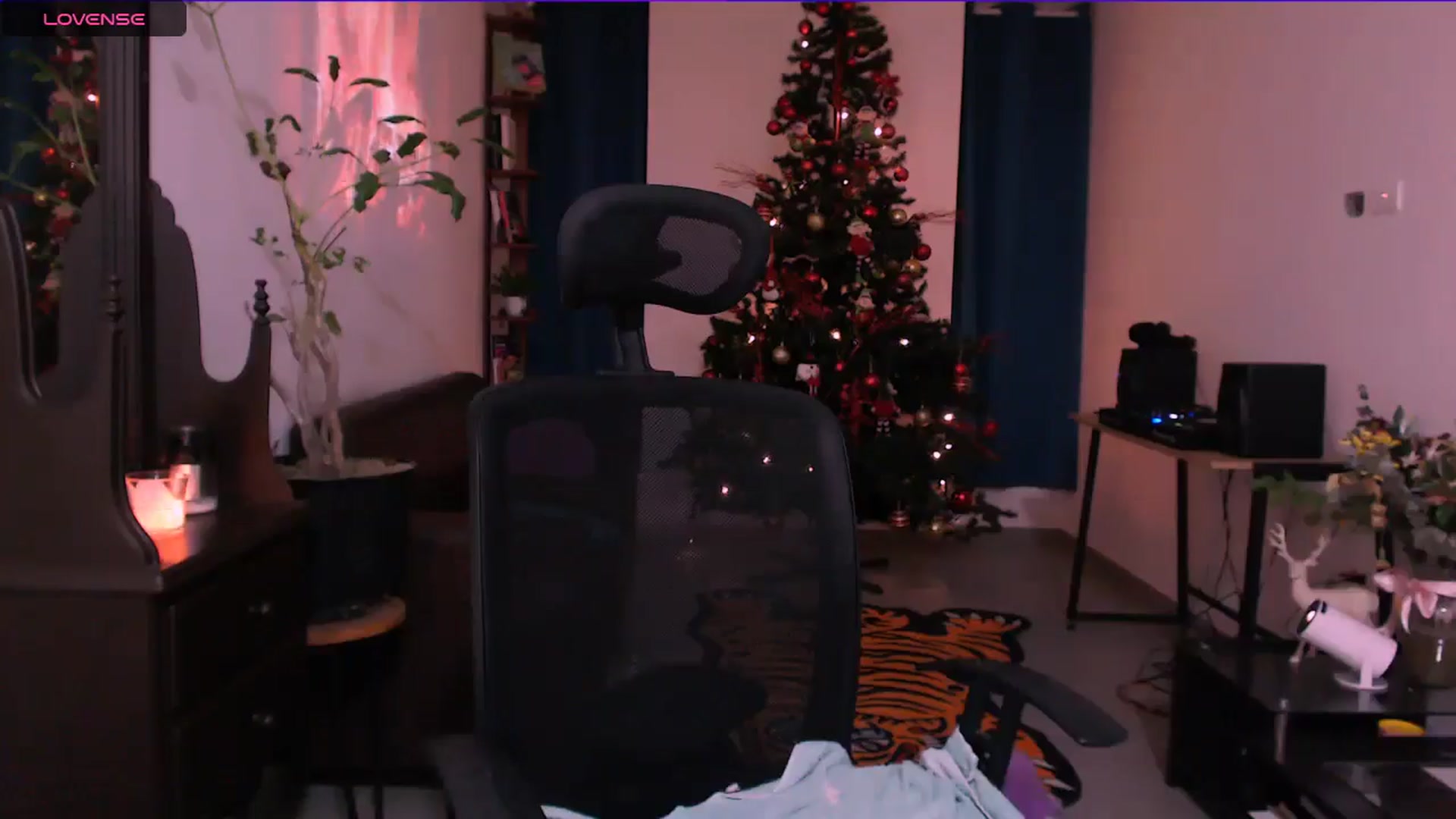 Gallery image thumbnail from AuroraBeckett's myfreecams stream on, 12/23/2025, 08:46 image 11 of 20