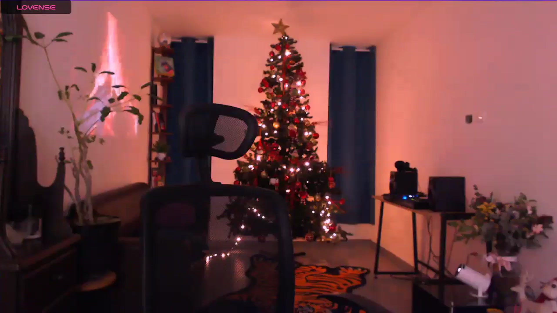 Gallery image thumbnail from AuroraBeckett's myfreecams stream on, 12/25/2025, 01:29 image 16 of 20