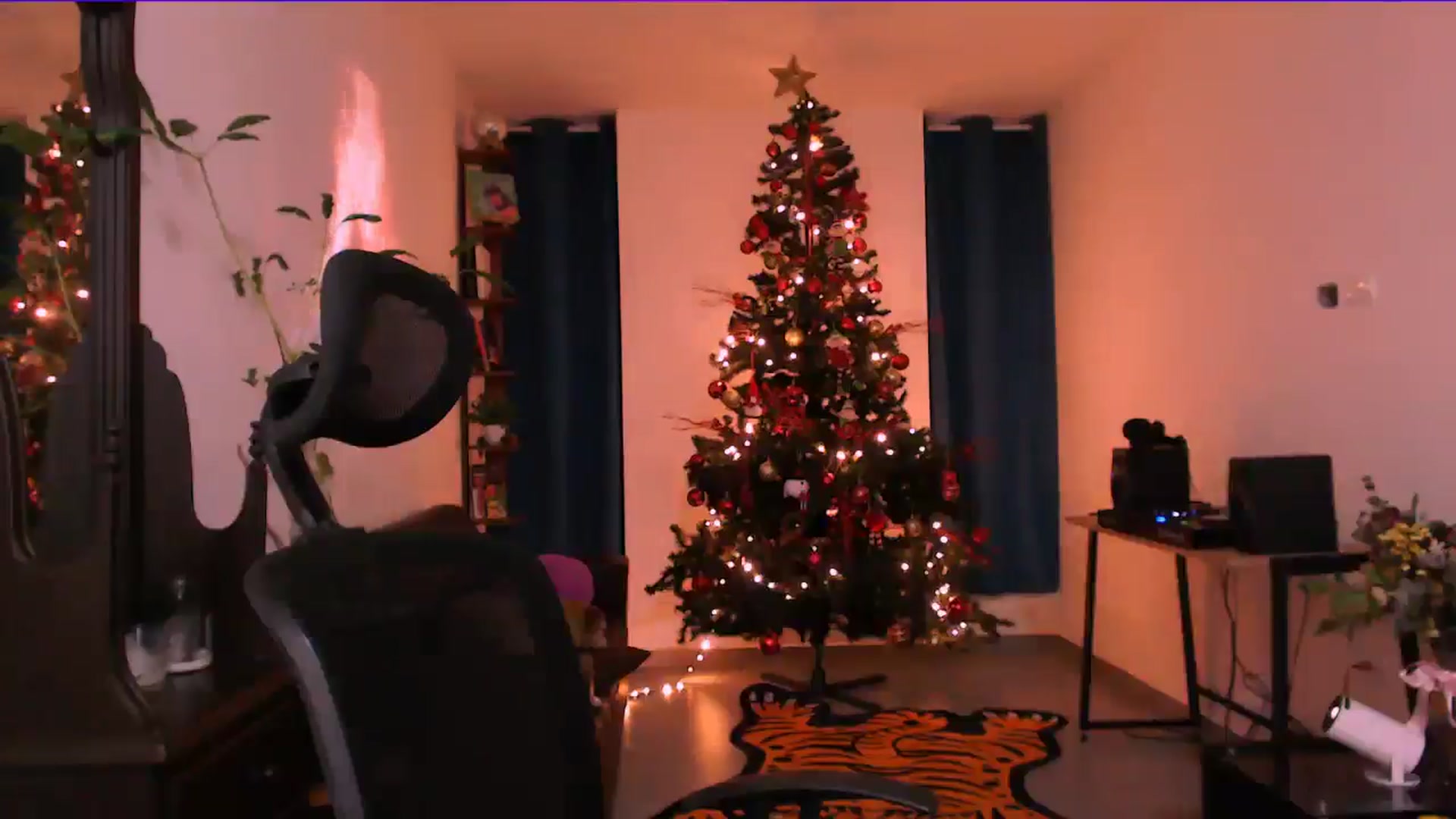 Gallery image thumbnail from AuroraBeckett's myfreecams stream on, 12/25/2025, 04:03 image 5 of 20