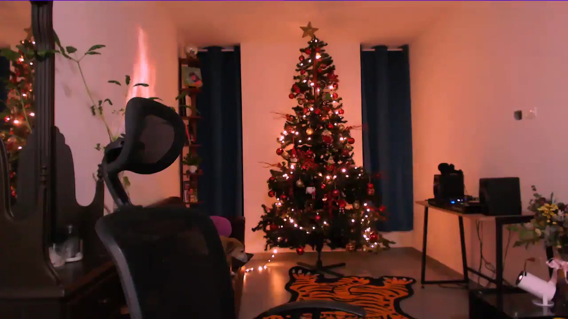 Gallery image thumbnail from AuroraBeckett's myfreecams stream on, 12/25/2025, 04:03 image 7 of 20
