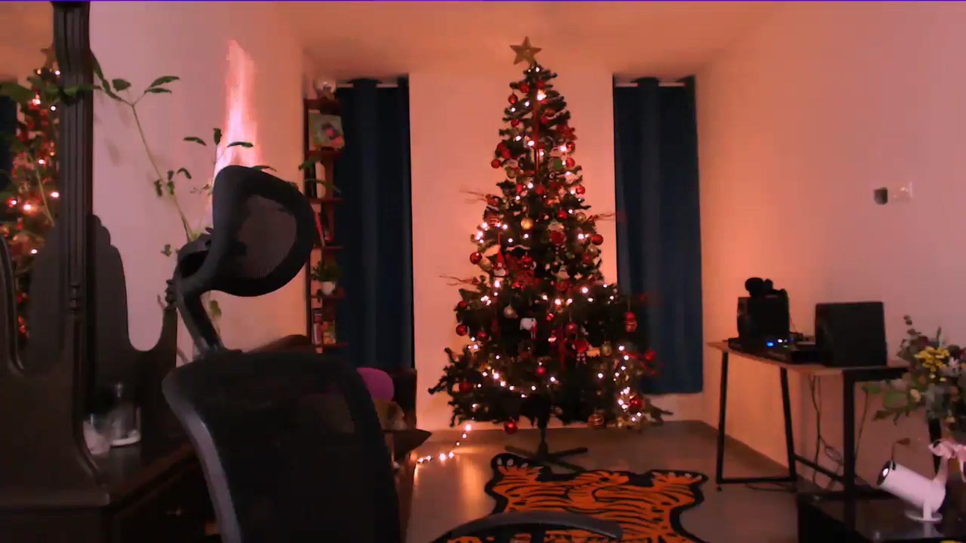 Gallery image thumbnail from AuroraBeckett's myfreecams stream on, 12/25/2025, 04:03 image 6 of 20