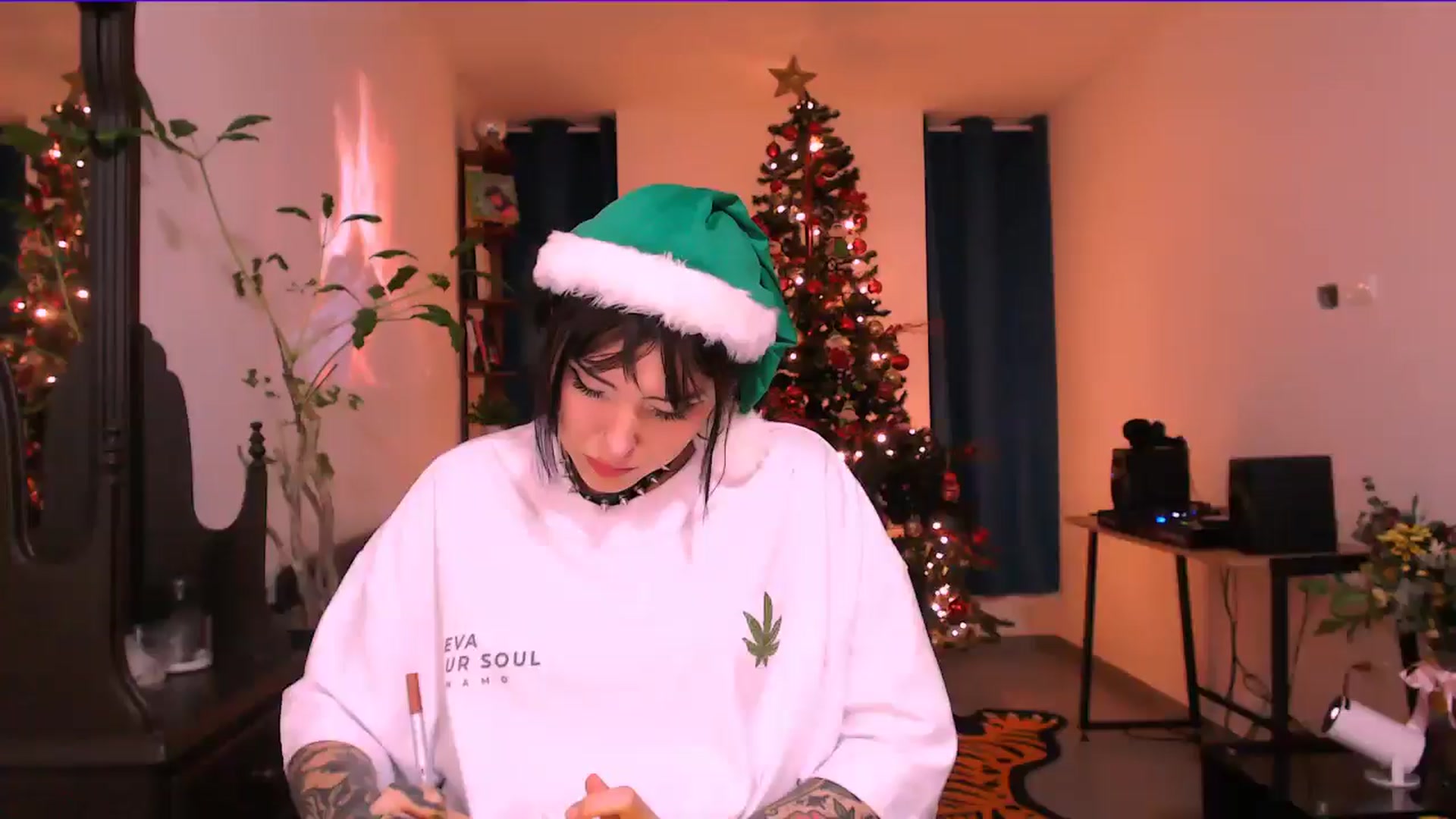 Gallery image thumbnail from AuroraBeckett's myfreecams stream on, 12/25/2025, 04:03 image 17 of 20