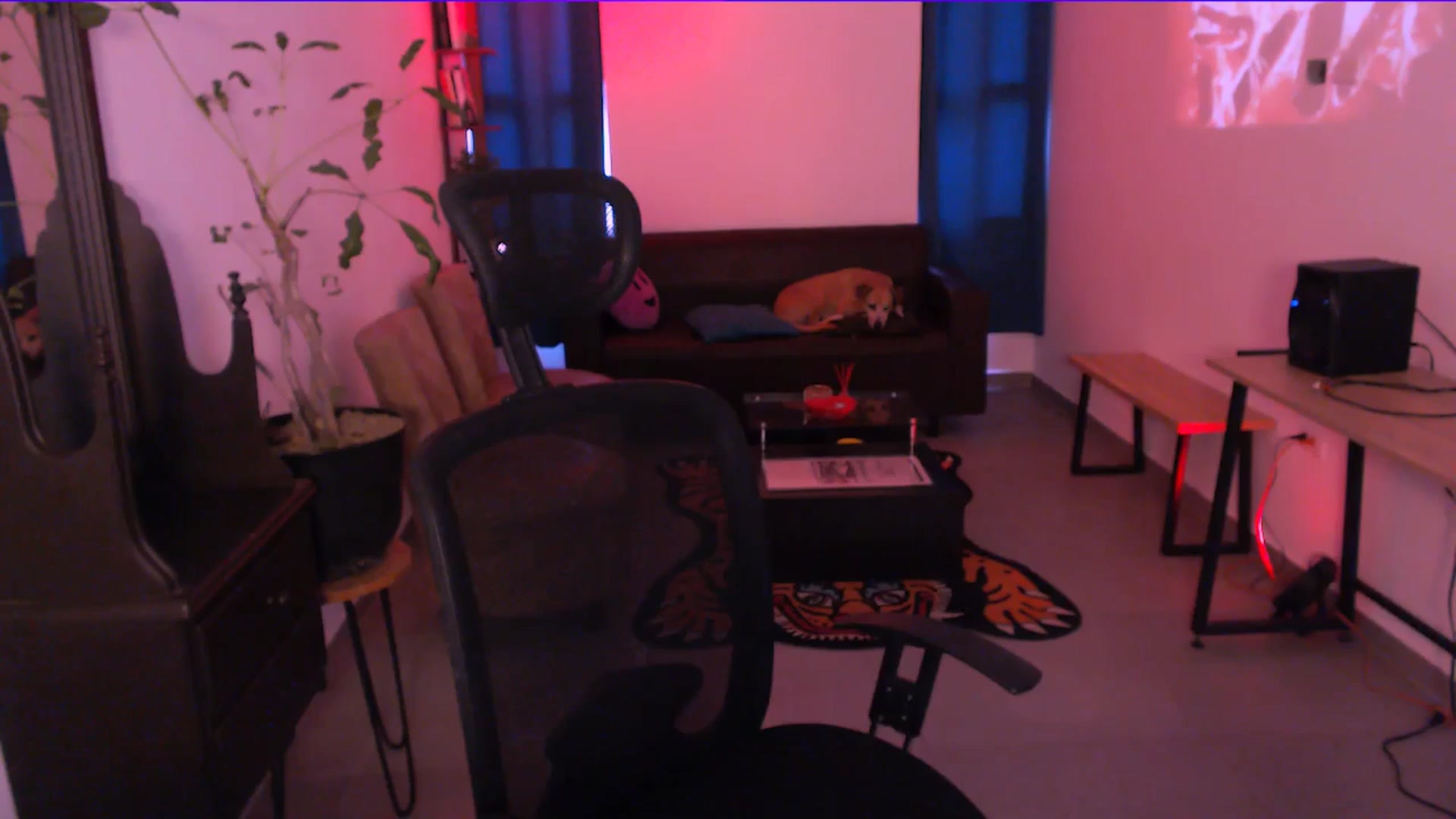 Gallery image thumbnail from AuroraBeckett's myfreecams stream on, 01/11/2026, 19:42 image 1 of 20