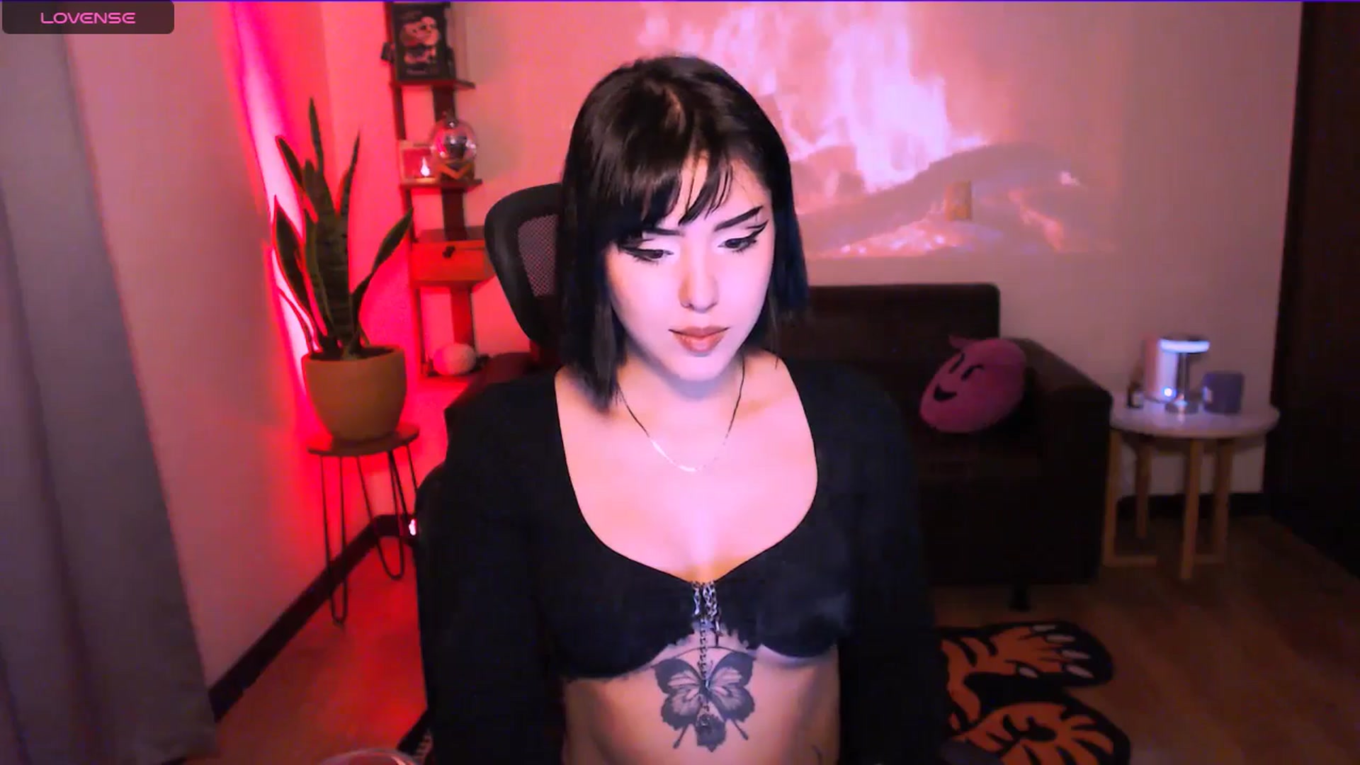 Gallery image thumbnail from AuroraBeckett's myfreecams stream on, 03/23/2026, 05:50 image 5 of 20