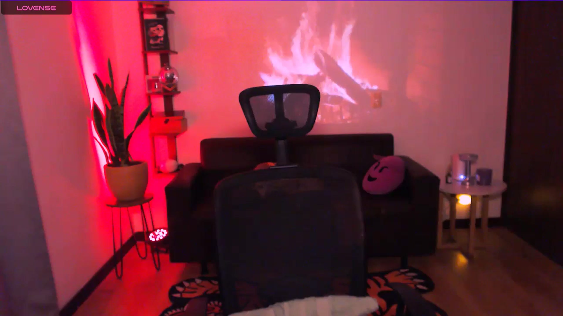 Gallery image thumbnail from AuroraBeckett's myfreecams stream on, 03/23/2026, 23:55 image 6 of 20