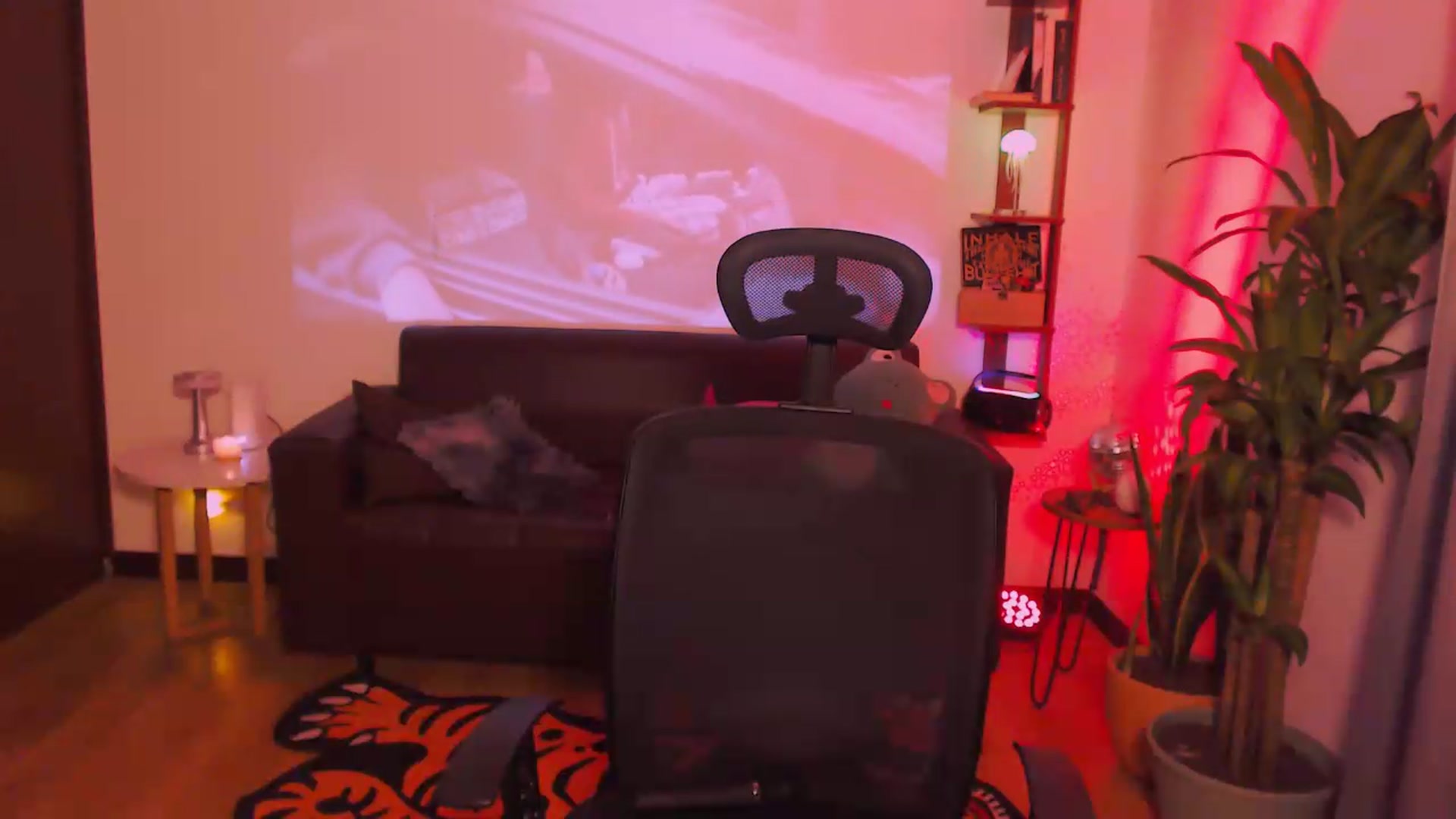 Gallery image thumbnail from AuroraBeckett's myfreecams stream on, 05/24/2026, 08:53 image 2 of 20