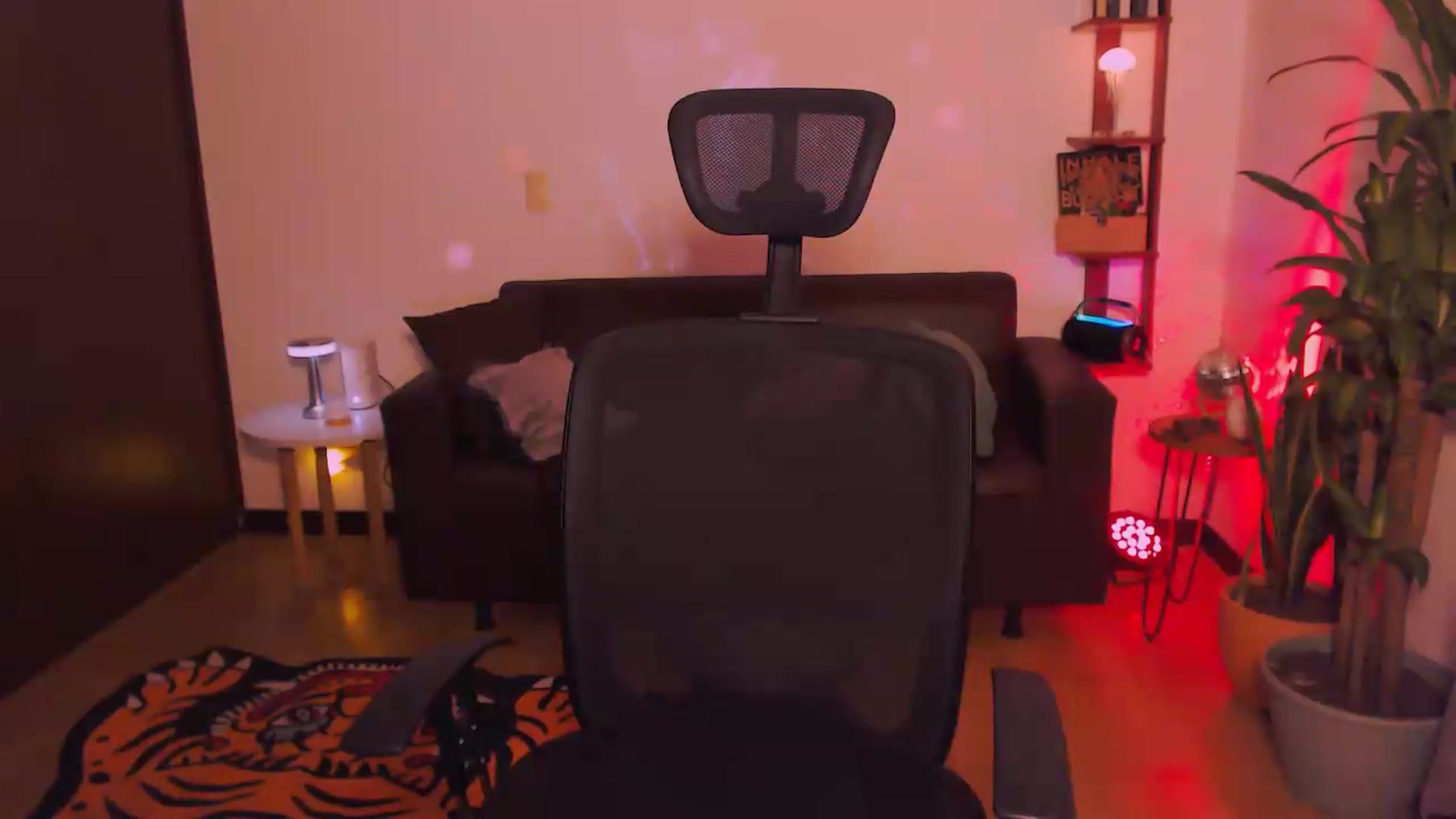 Gallery image thumbnail from AuroraBeckett's myfreecams stream on, 05/26/2026, 07:15 image 14 of 20