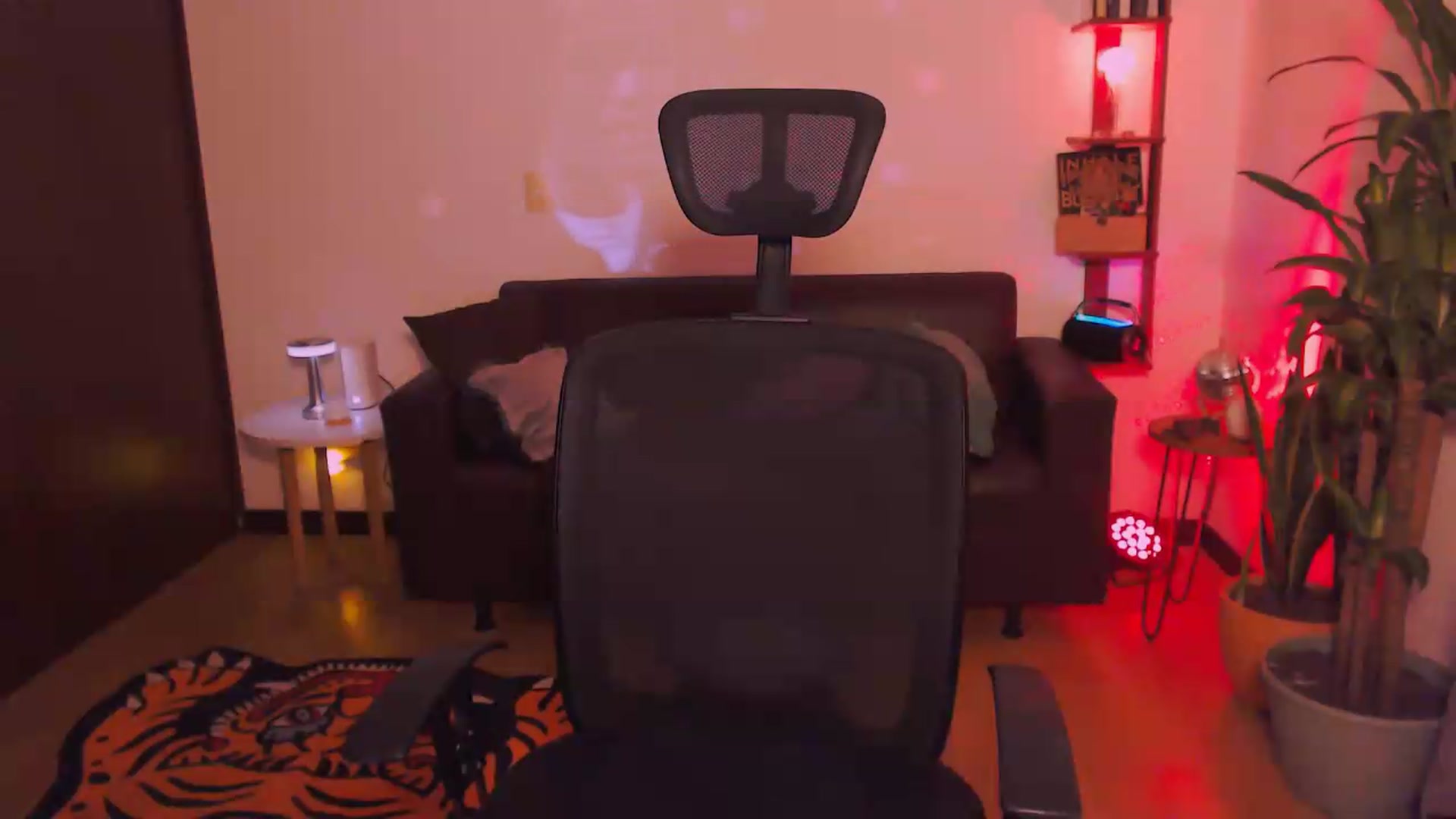 Gallery image thumbnail from AuroraBeckett's myfreecams stream on, 05/26/2026, 07:15 image 9 of 20