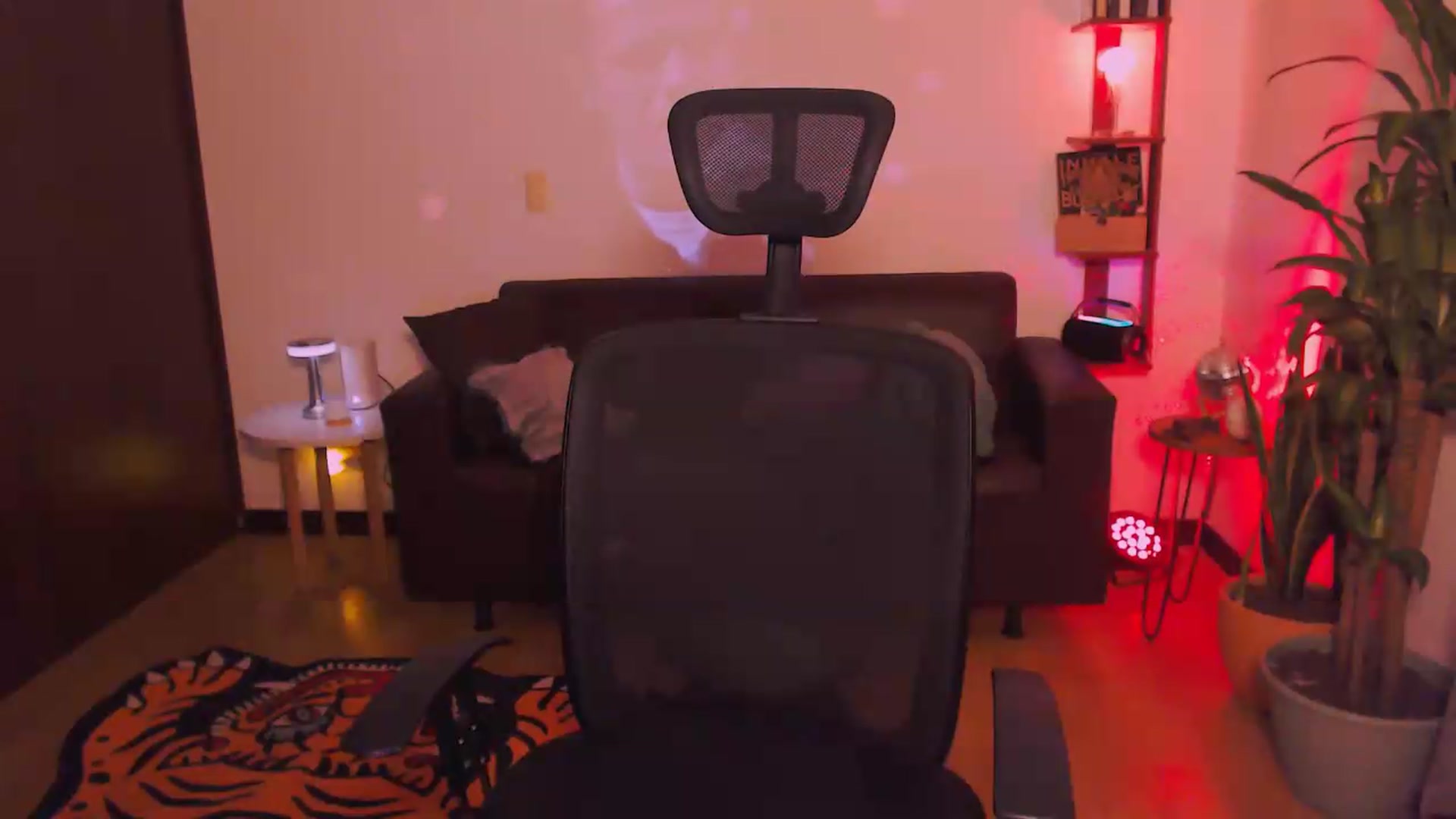 Gallery image thumbnail from AuroraBeckett's myfreecams stream on, 05/26/2026, 07:15 image 11 of 20