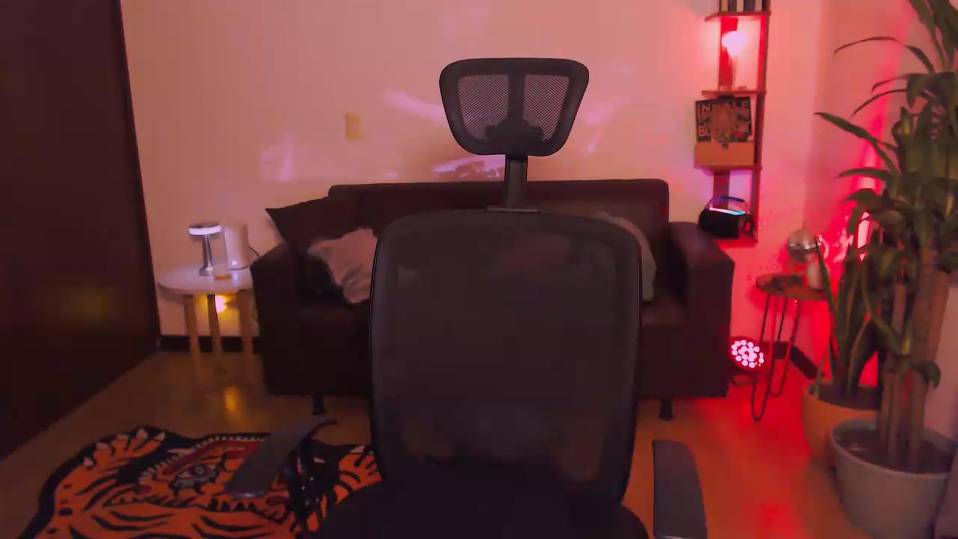 Gallery image thumbnail from AuroraBeckett's myfreecams stream on, 05/26/2026, 07:15 image 12 of 20