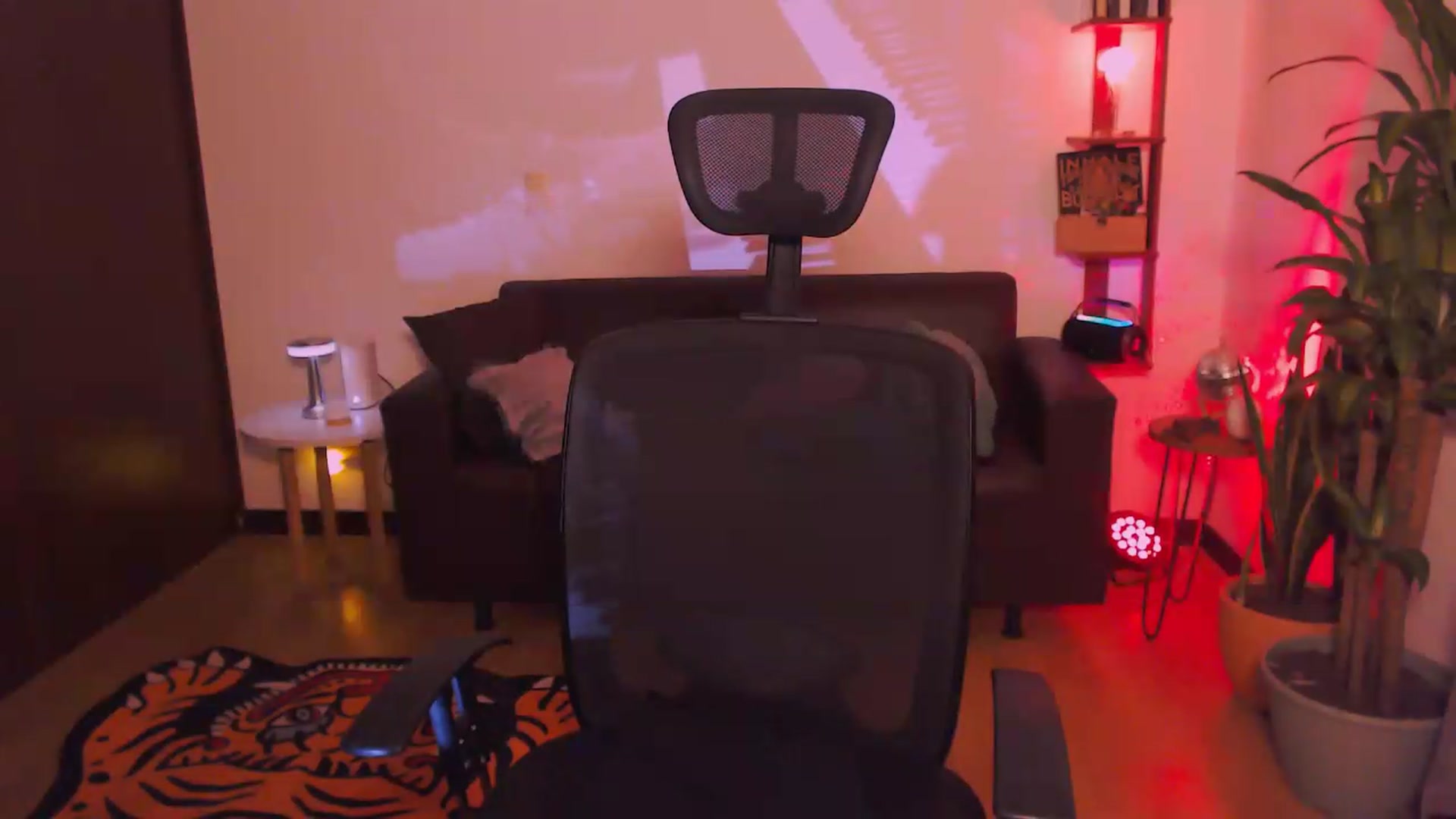 Gallery image thumbnail from AuroraBeckett's myfreecams stream on, 05/26/2026, 07:15 image 10 of 20