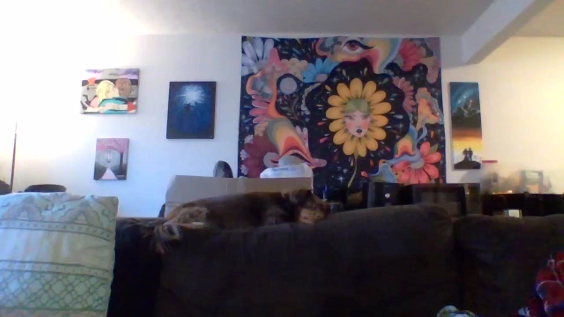 Gallery image thumbnail from AuroraLightz's myfreecams stream on, 12/10/2024, 17:30 image 14 of 20