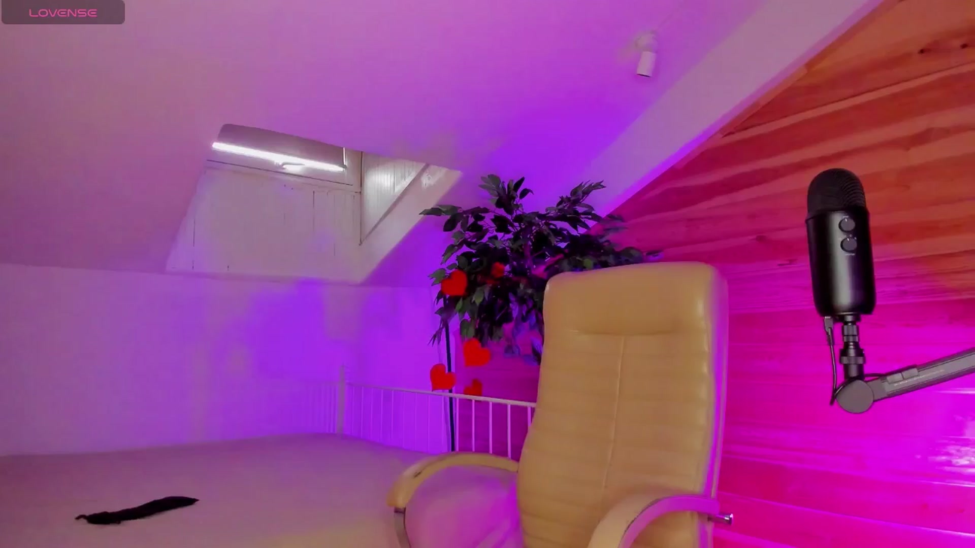 Gallery image thumbnail from AuroraShy's myfreecams stream on, 02/16/2026, 10:12 image 20 of 20
