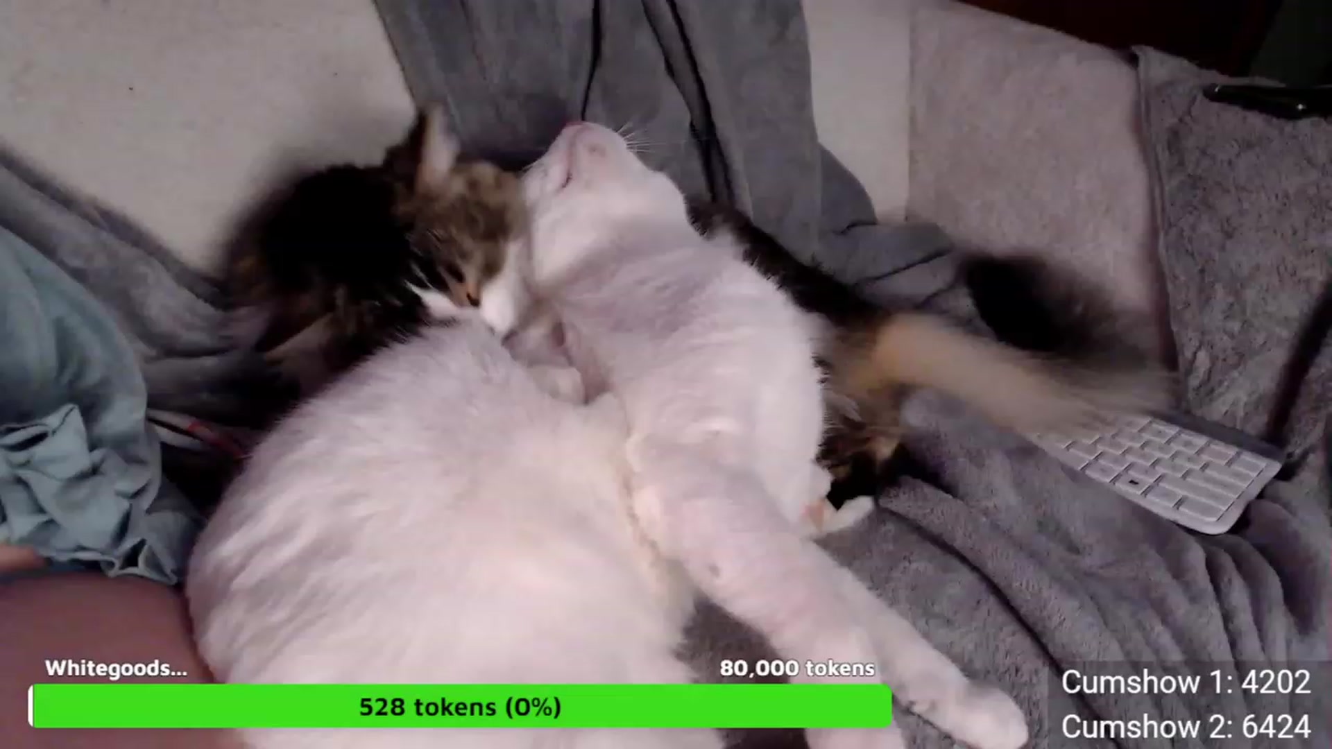 Gallery image thumbnail from AussieCosplay's myfreecams stream on, 11/15/2023, 11:59 image 7 of 20