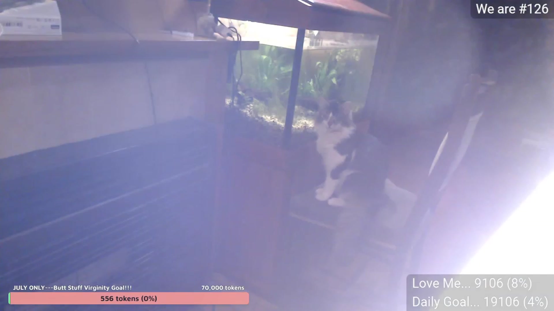 Gallery image thumbnail from Aussieversary's myfreecams stream on, 07/09/2023, 15:18 image 18 of 20