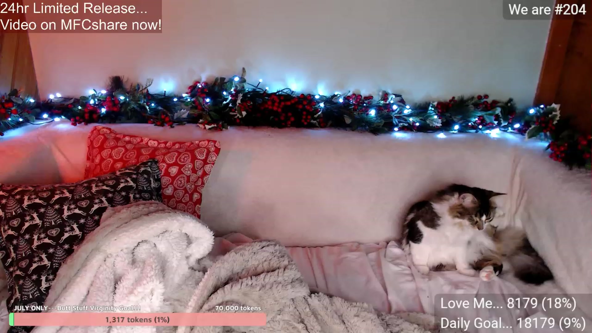 Gallery image thumbnail from Aussieversary's myfreecams stream on, 07/14/2023, 10:21 image 8 of 20