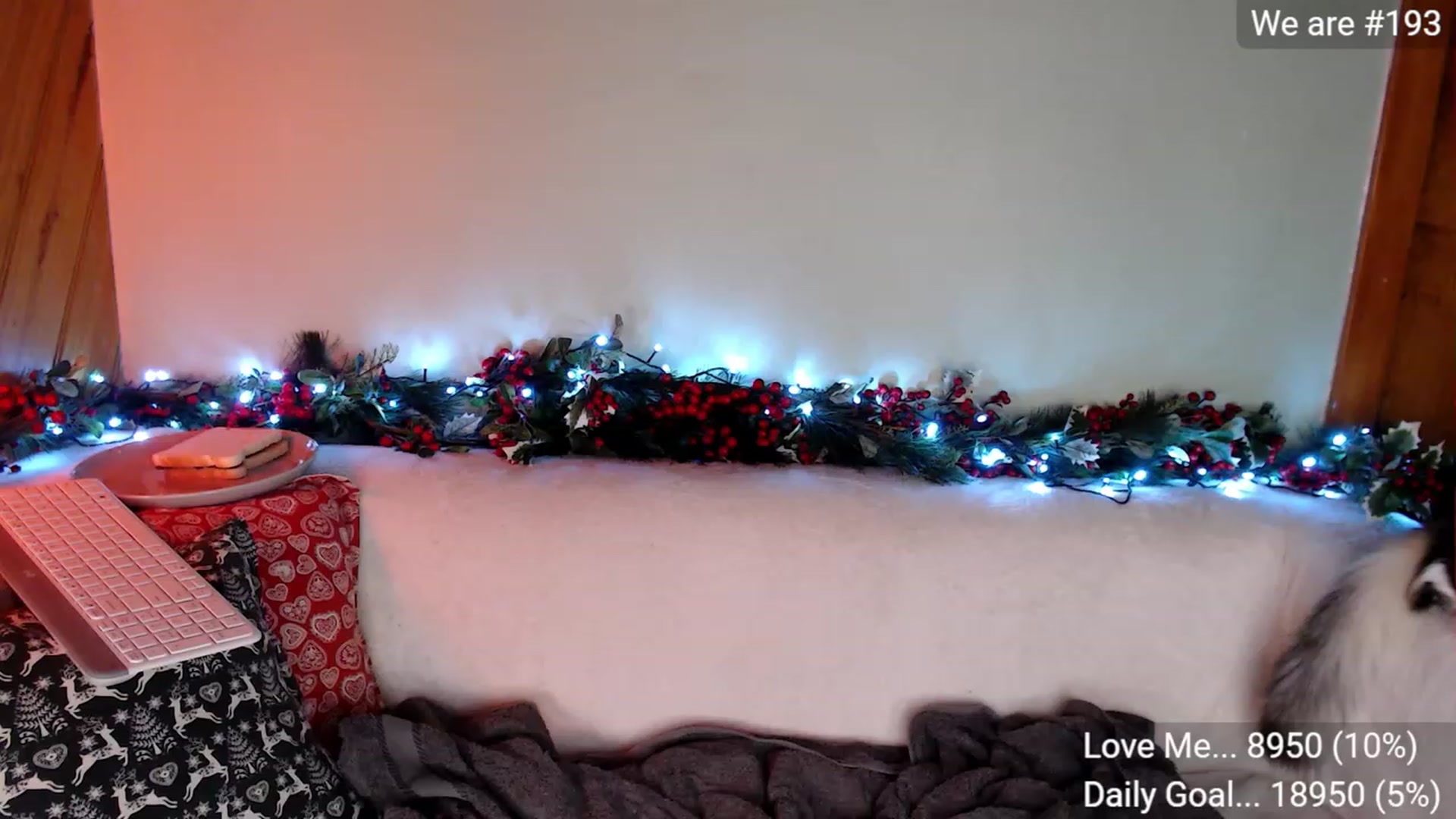 Gallery image thumbnail from Aussieversary's myfreecams stream on, 07/15/2023, 17:00 image 7 of 20