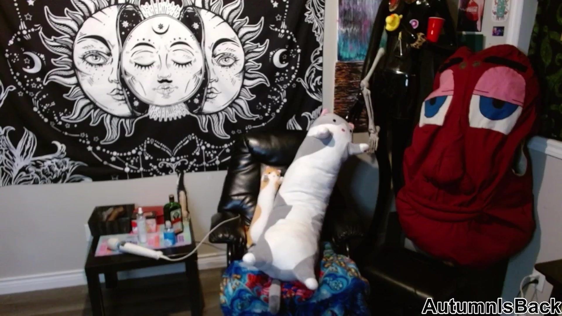 Gallery image thumbnail from AutumnIsBack's myfreecams stream on, 01/17/2026, 04:46 image 5 of 20