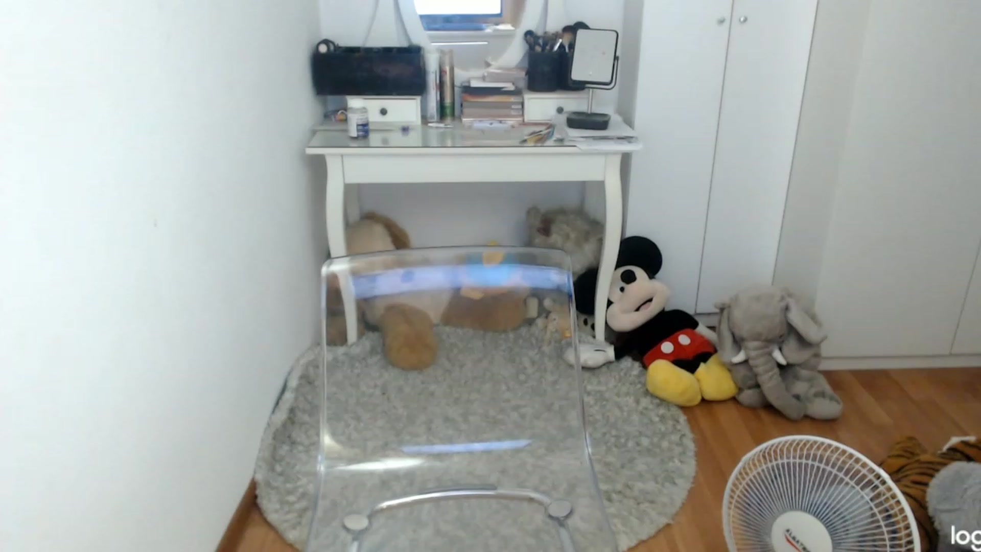 Gallery image thumbnail from AutumnJewel's myfreecams stream on, 09/05/2023, 09:18 image 9 of 20