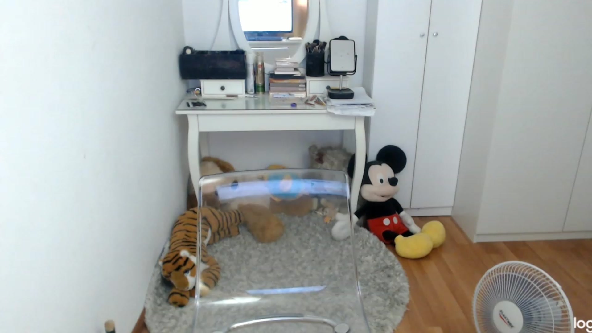 Gallery image thumbnail from AutumnJewel's myfreecams stream on, 09/19/2023, 08:11 image 9 of 20