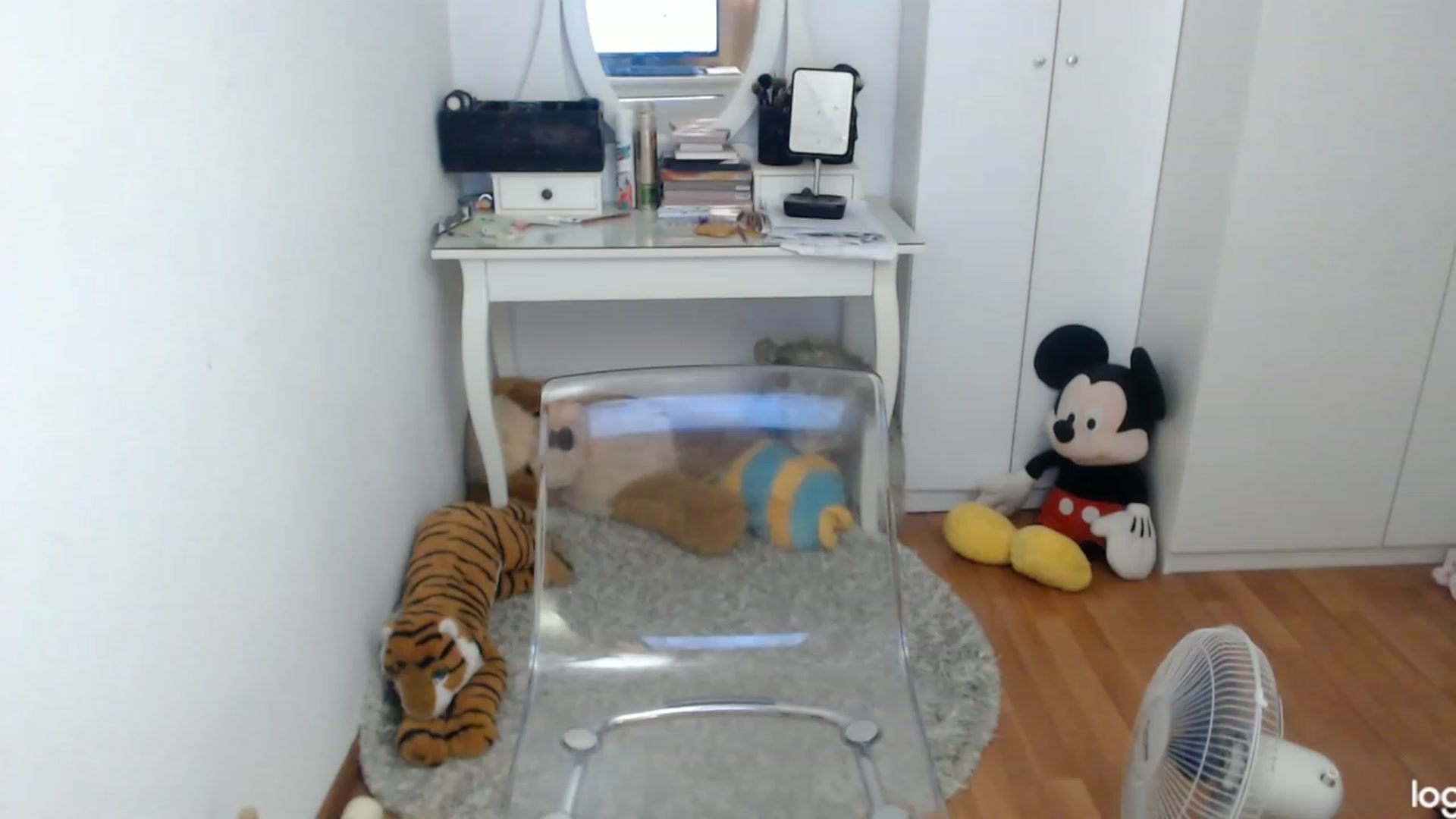 Gallery image thumbnail from AutumnJewel's myfreecams stream on, 10/03/2023, 08:54 image 14 of 20