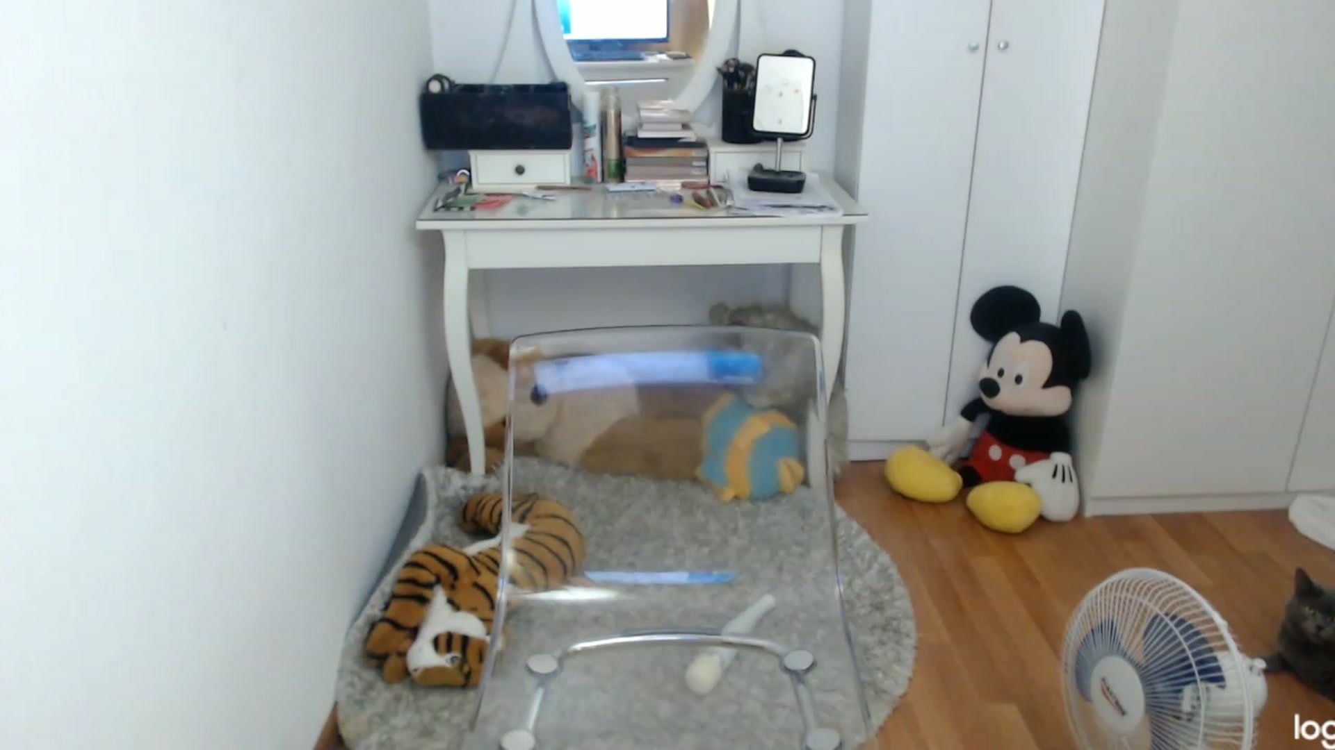 Gallery image thumbnail from AutumnJewel's myfreecams stream on, 10/05/2023, 09:21 image 18 of 20