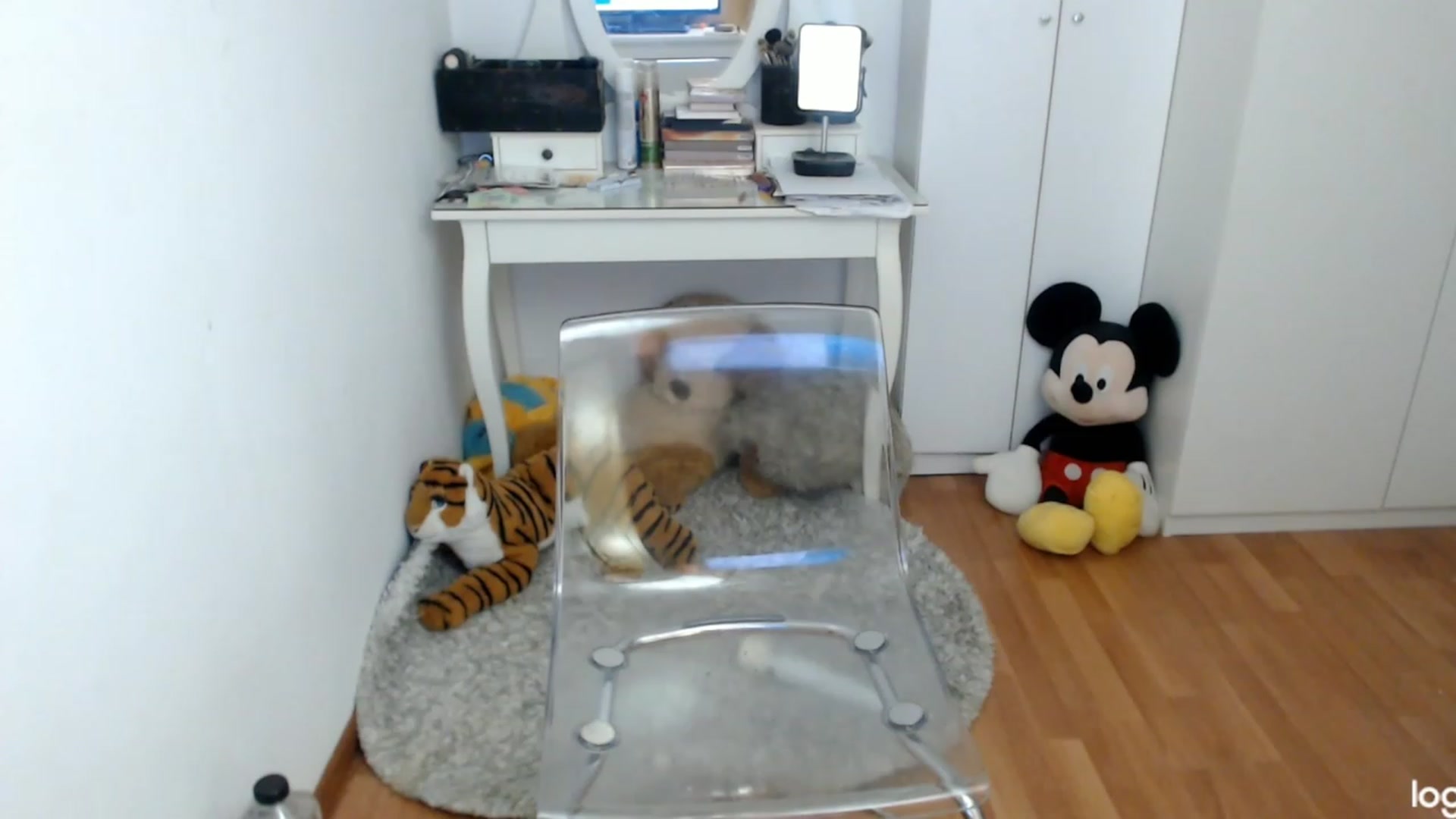Gallery image thumbnail from AutumnJewel's myfreecams stream on, 10/22/2023, 09:51 image 6 of 20
