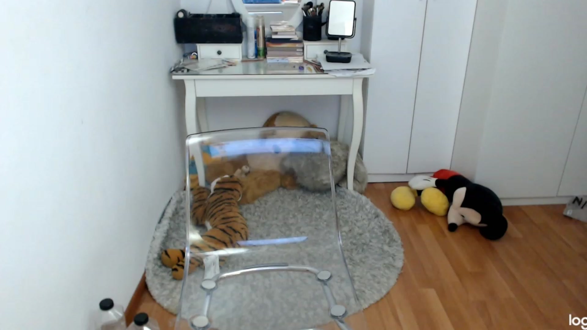 Gallery image thumbnail from AutumnJewel's myfreecams stream on, 10/28/2023, 07:44 image 17 of 20