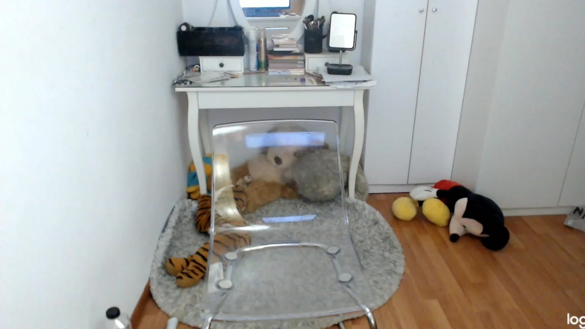 Gallery image thumbnail from AutumnJewel's myfreecams stream on, 10/28/2023, 09:10 image 19 of 20