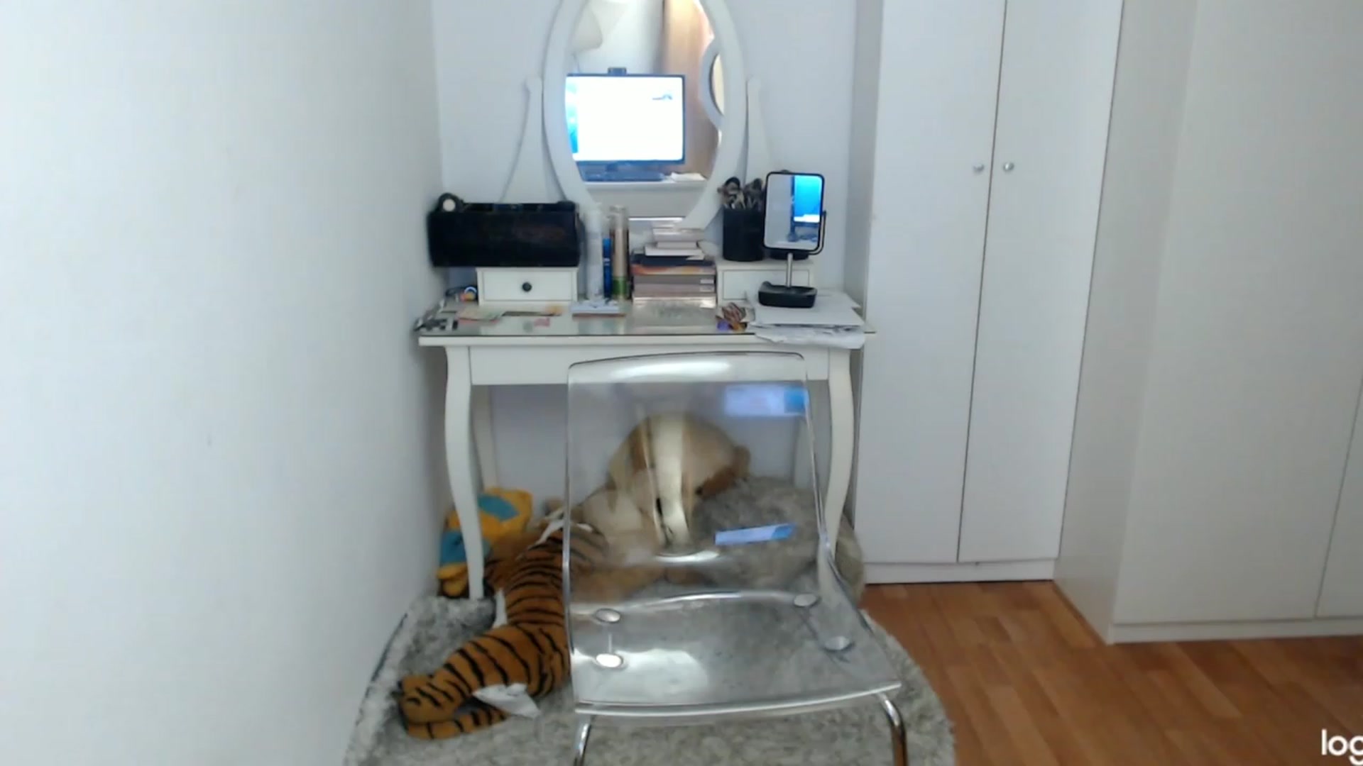 Gallery image thumbnail from AutumnJewel's myfreecams stream on, 11/01/2023, 08:52 image 12 of 20