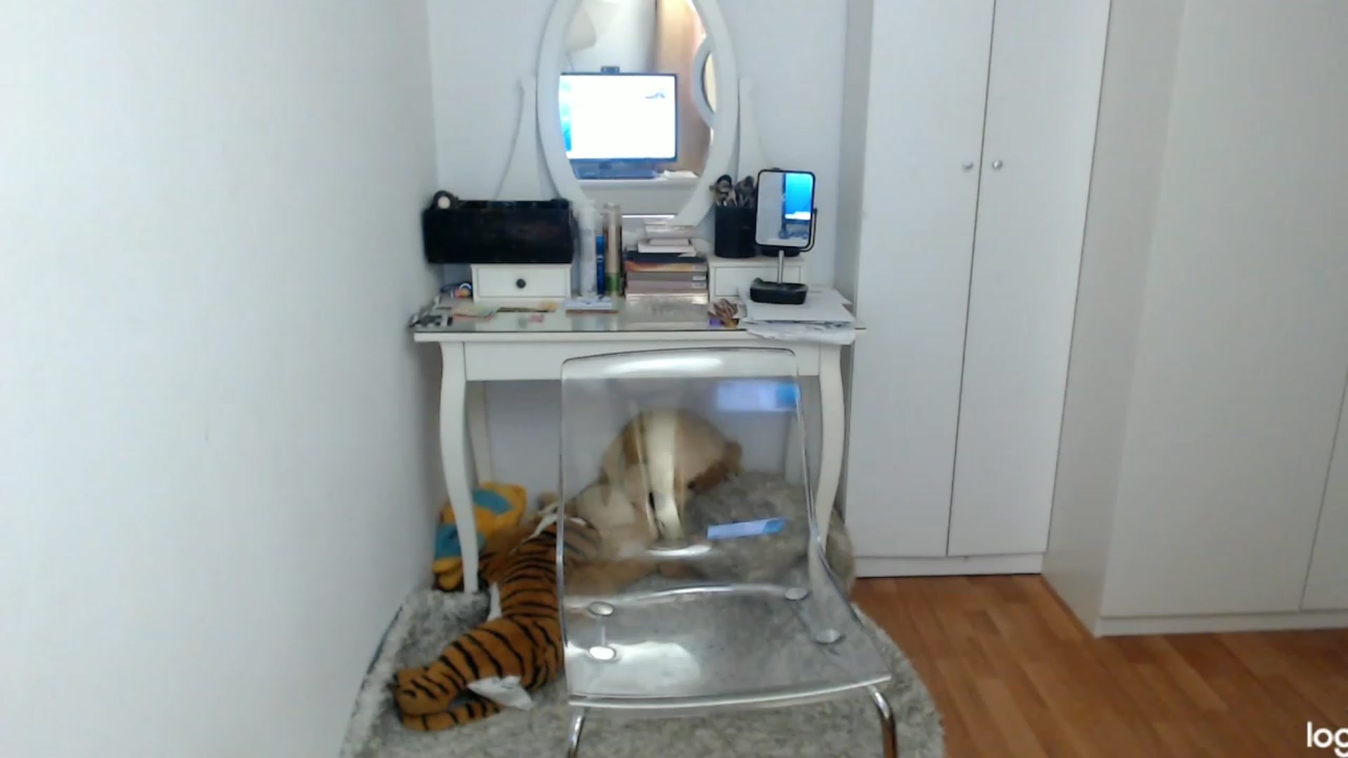 Gallery image thumbnail from AutumnJewel's myfreecams stream on, 11/01/2023, 08:52 image 13 of 20