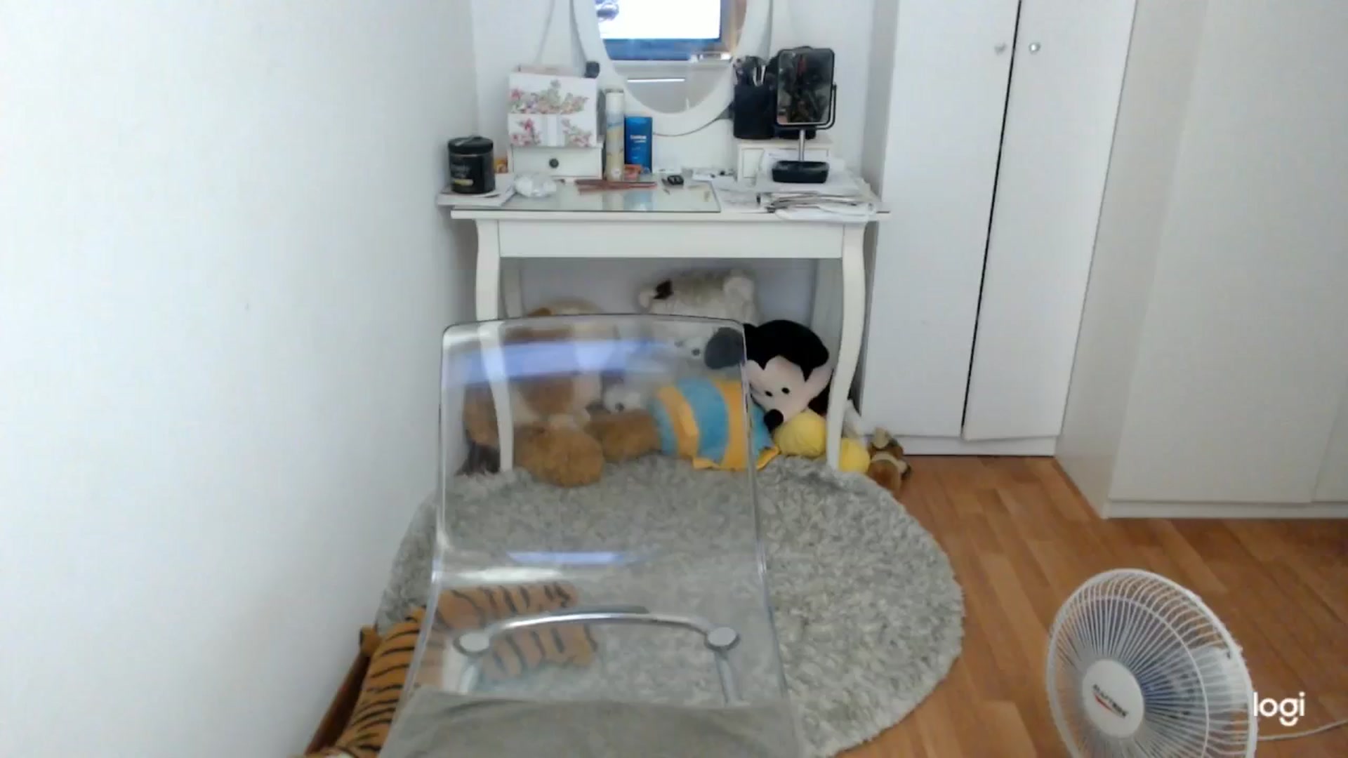 Gallery image thumbnail from AutumnJewel's myfreecams stream on, 09/05/2024, 08:13 image 3 of 20